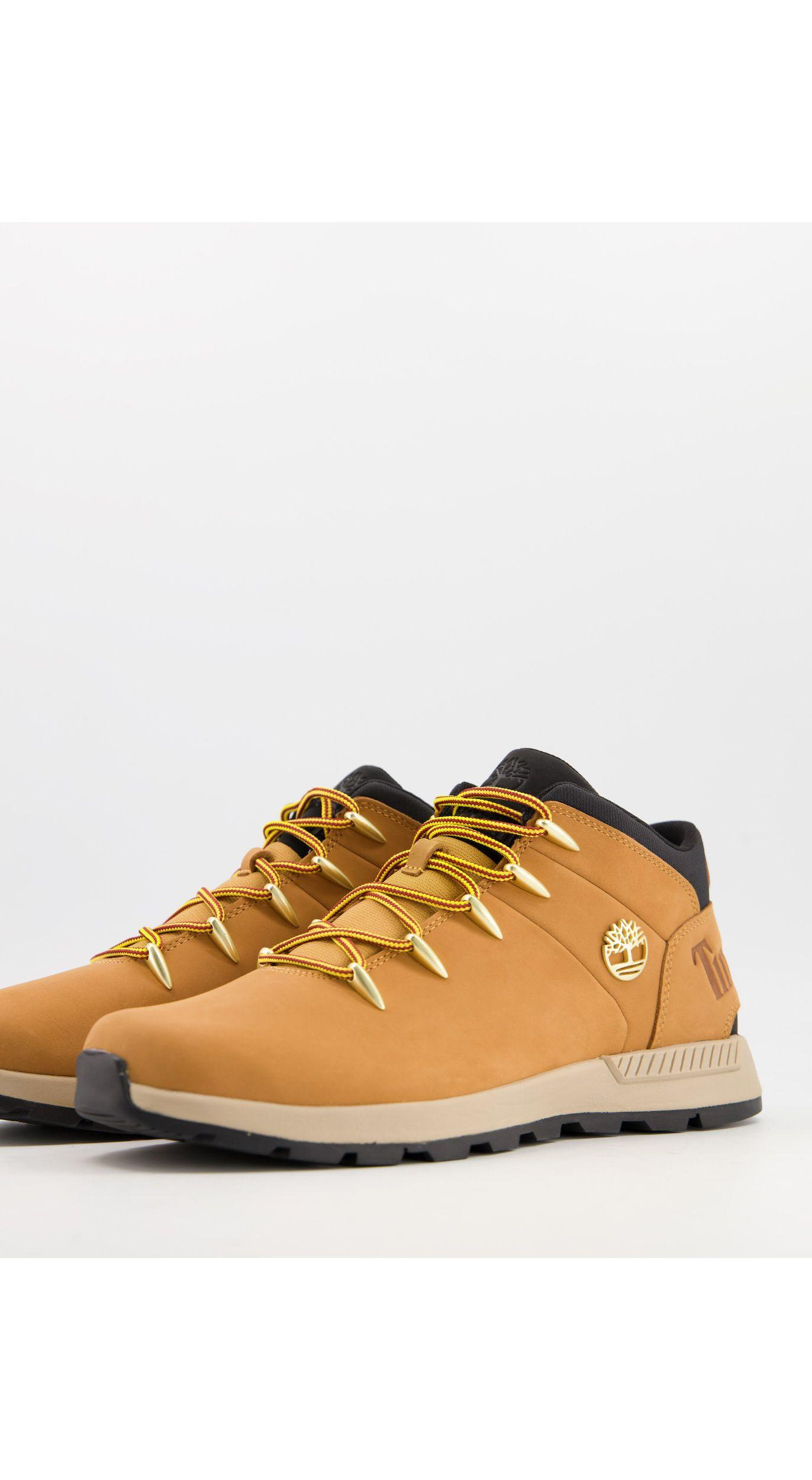 timberland trekker