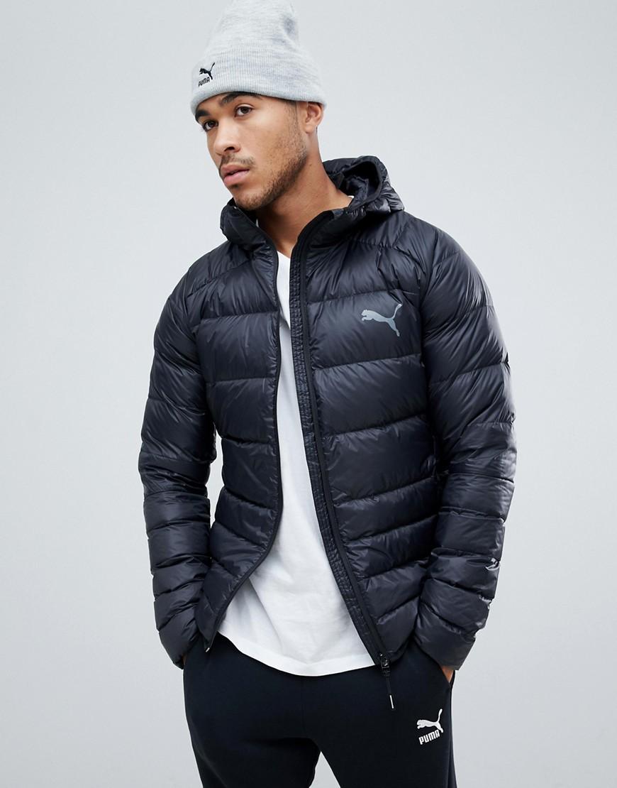 veste puma homme brun