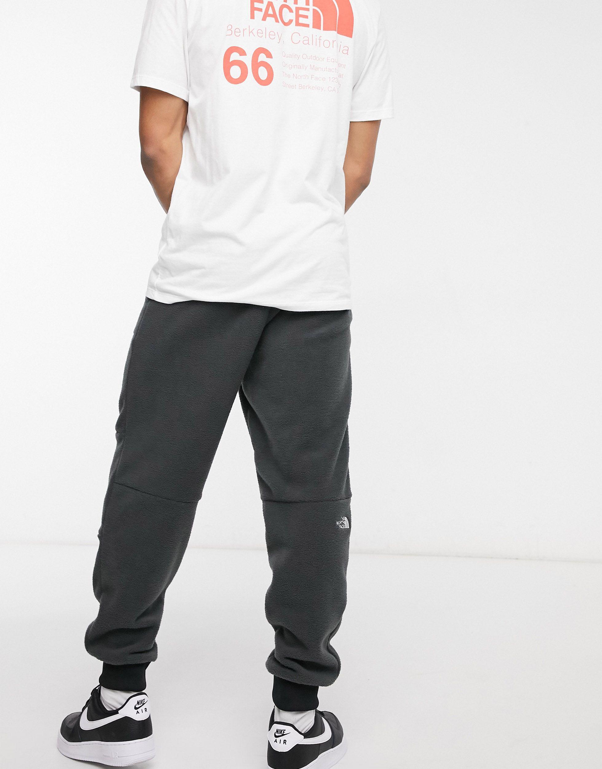 The North Face Fleeski Fleece Pant in 