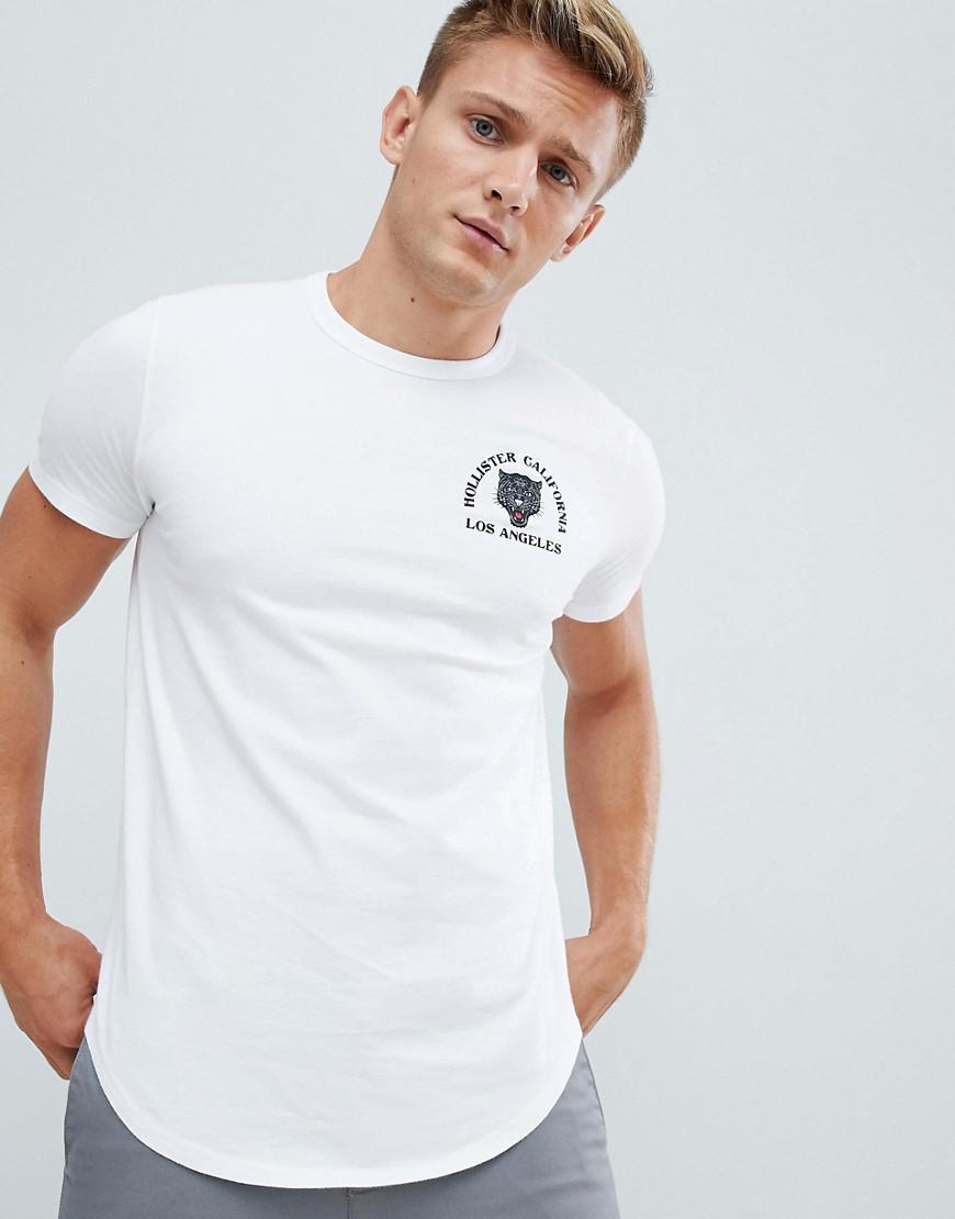 Hollister Tiger Logo T-shirt In White for Men | Lyst