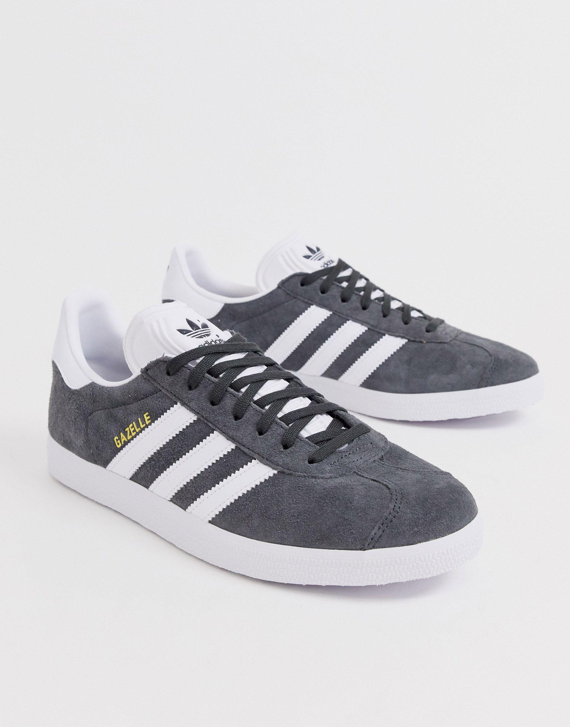 gazelle grey