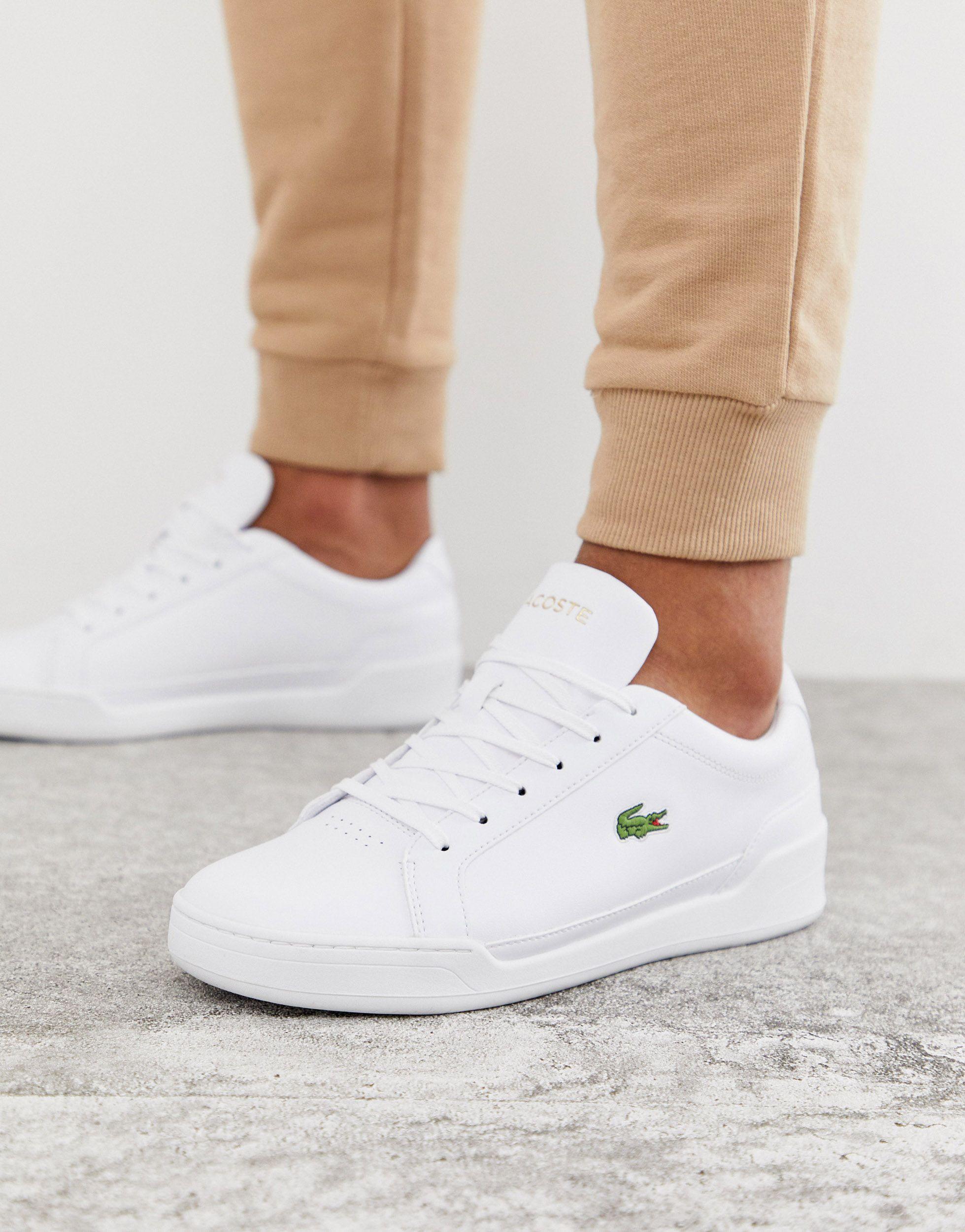 Lacoste – Challenge – Sneaker aus Leder in Weiß für Herren | Lyst DE