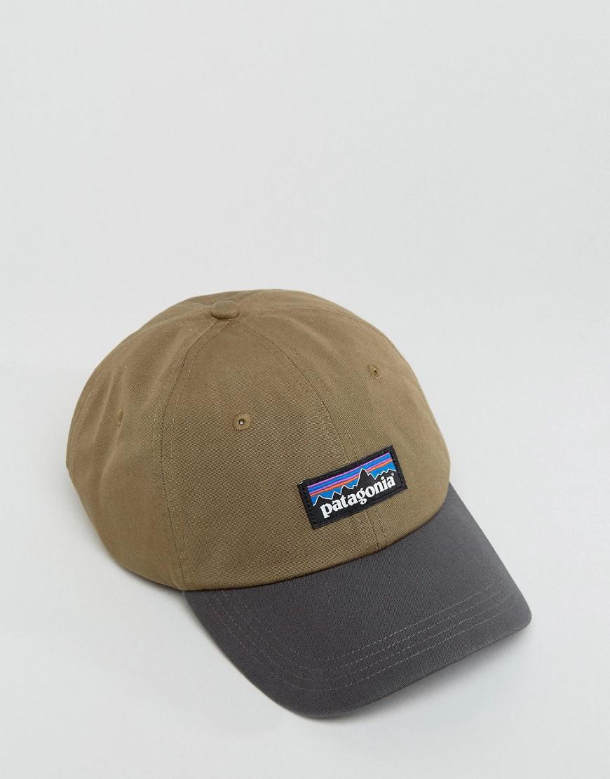 patagonia dad cap