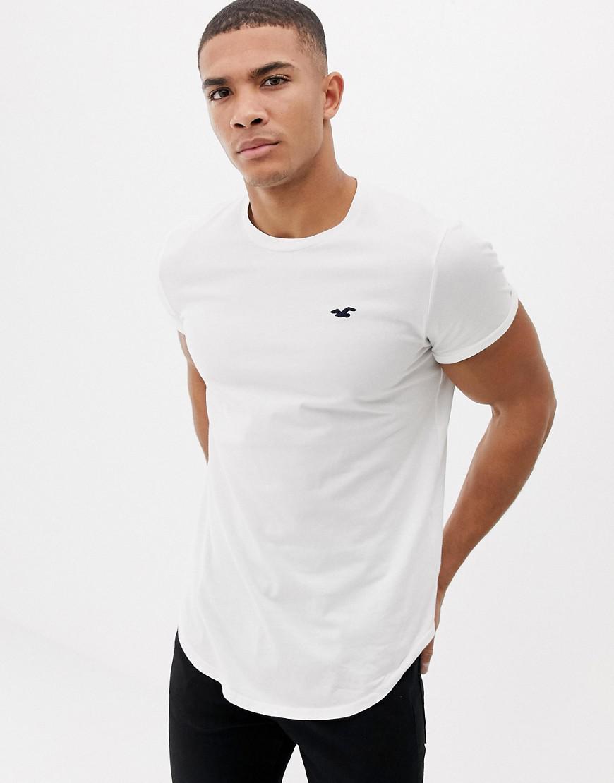 Hollister Solid Curved Hem T-shirt Seagull Logo Slim Fit in White