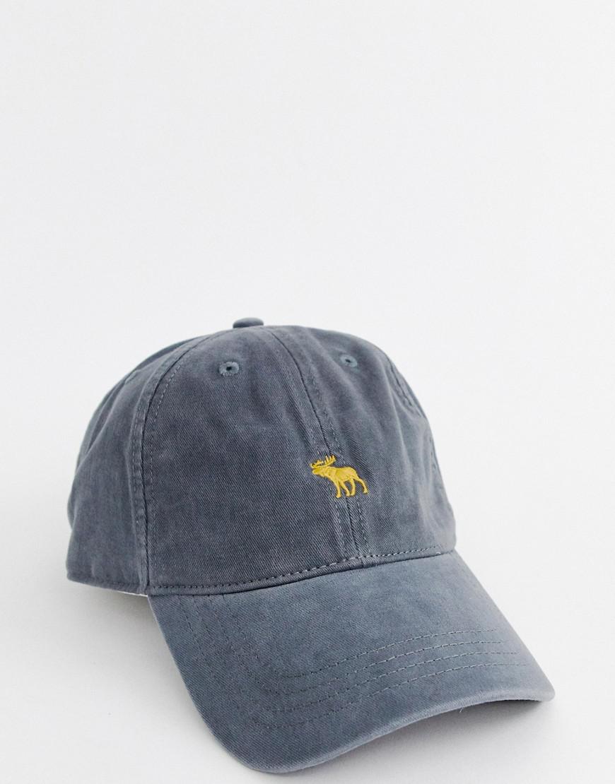 Fitch Icon Logo Baseball Cap 