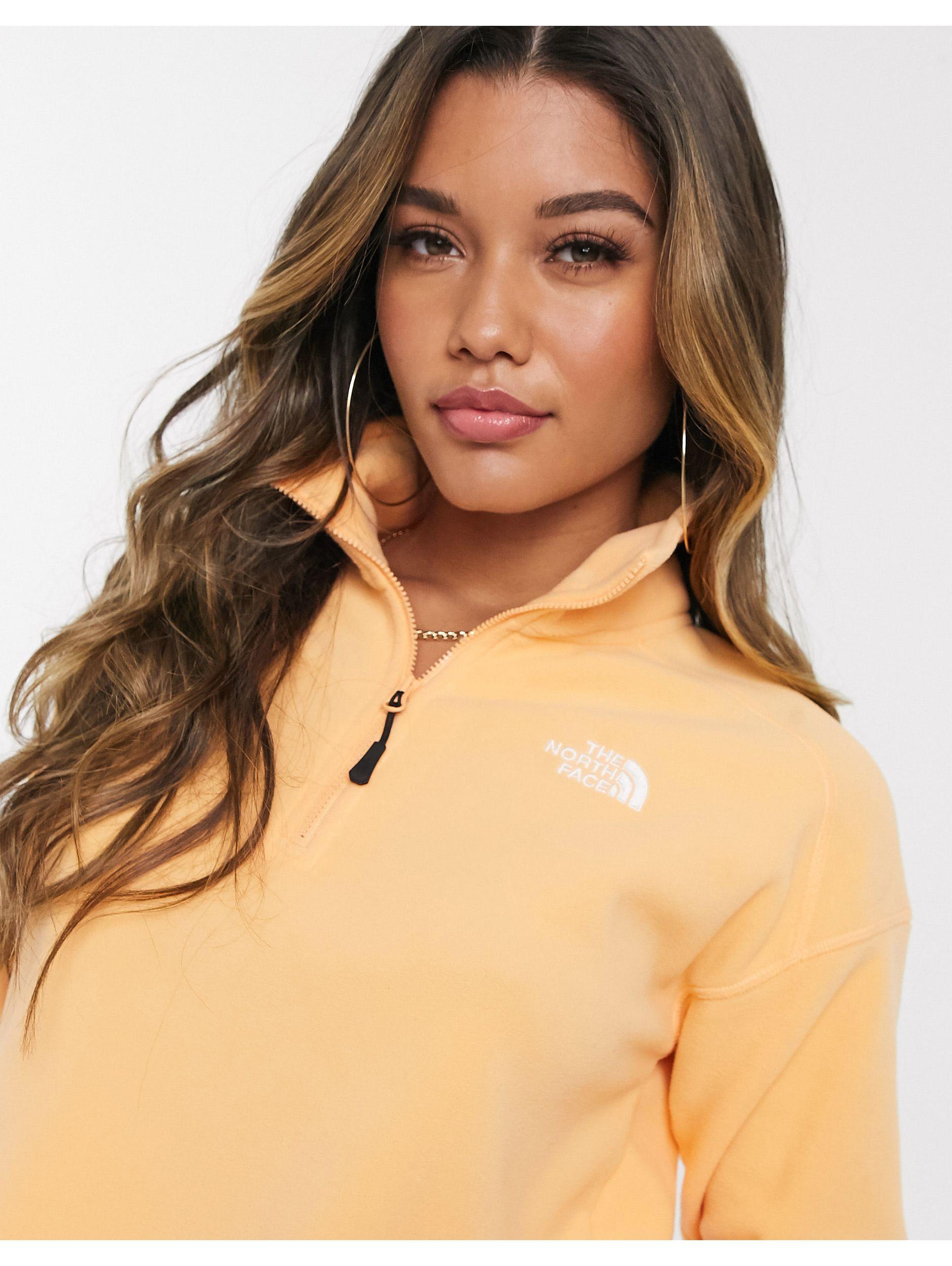 polaire courte the north face