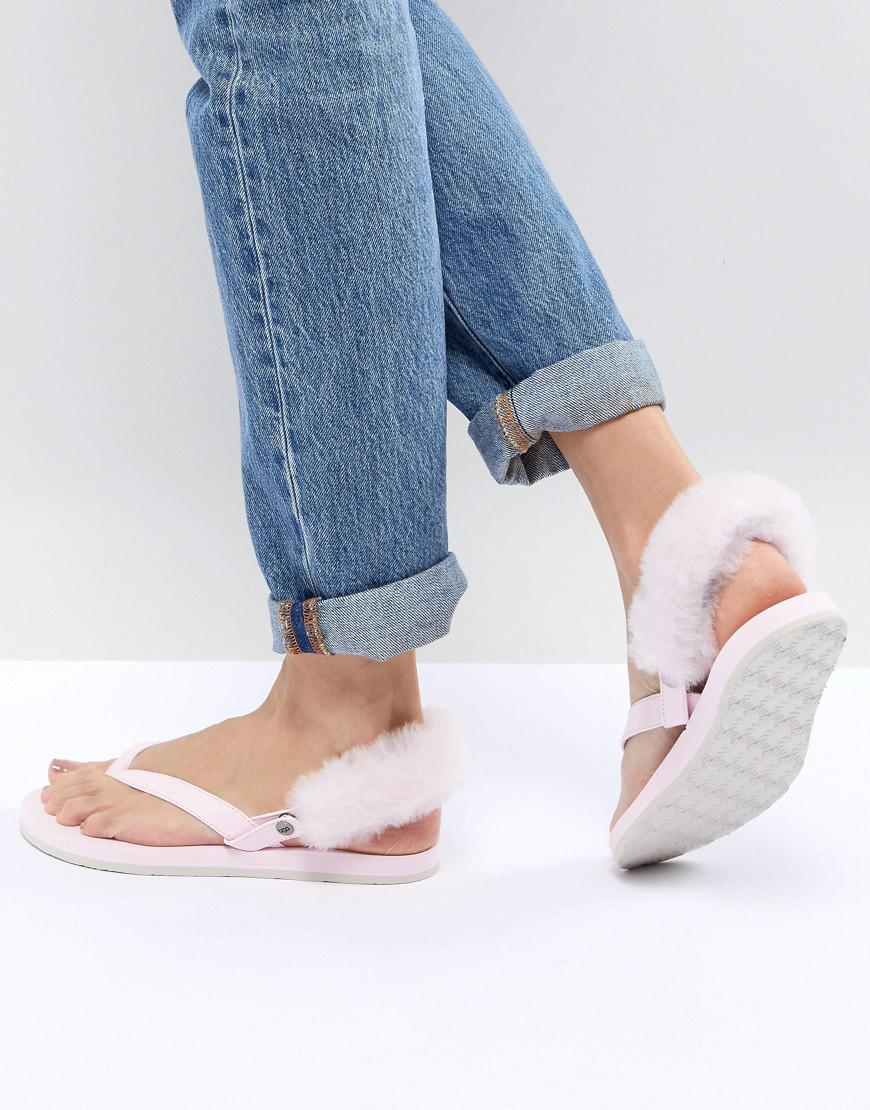 odyssia slippers