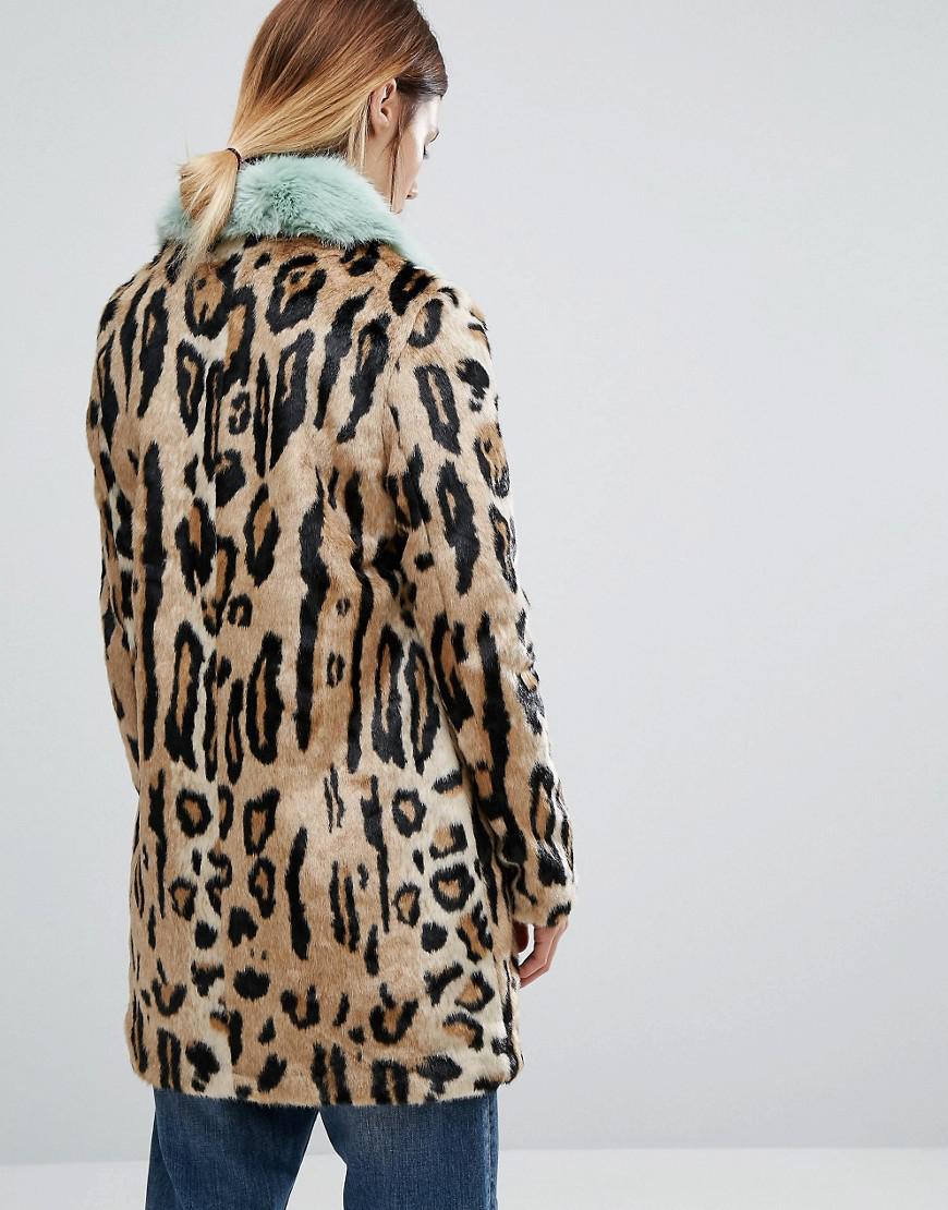 king will dream jacket