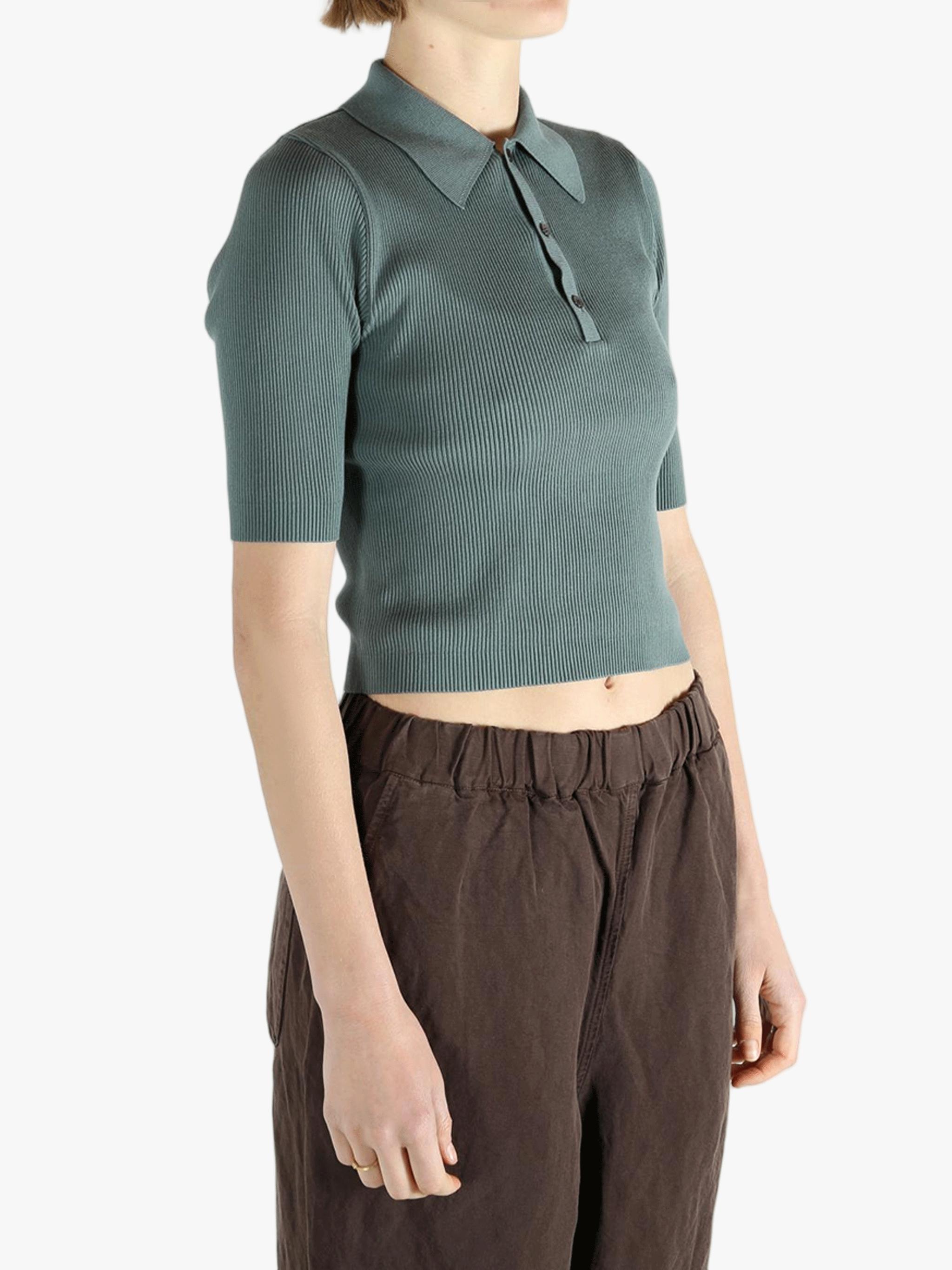 AURALEE Cotton High Gauge Rib Knit Polo in Blue | Lyst