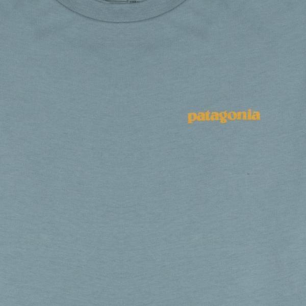 Patagonia Flying Fish Organic T-shirt 