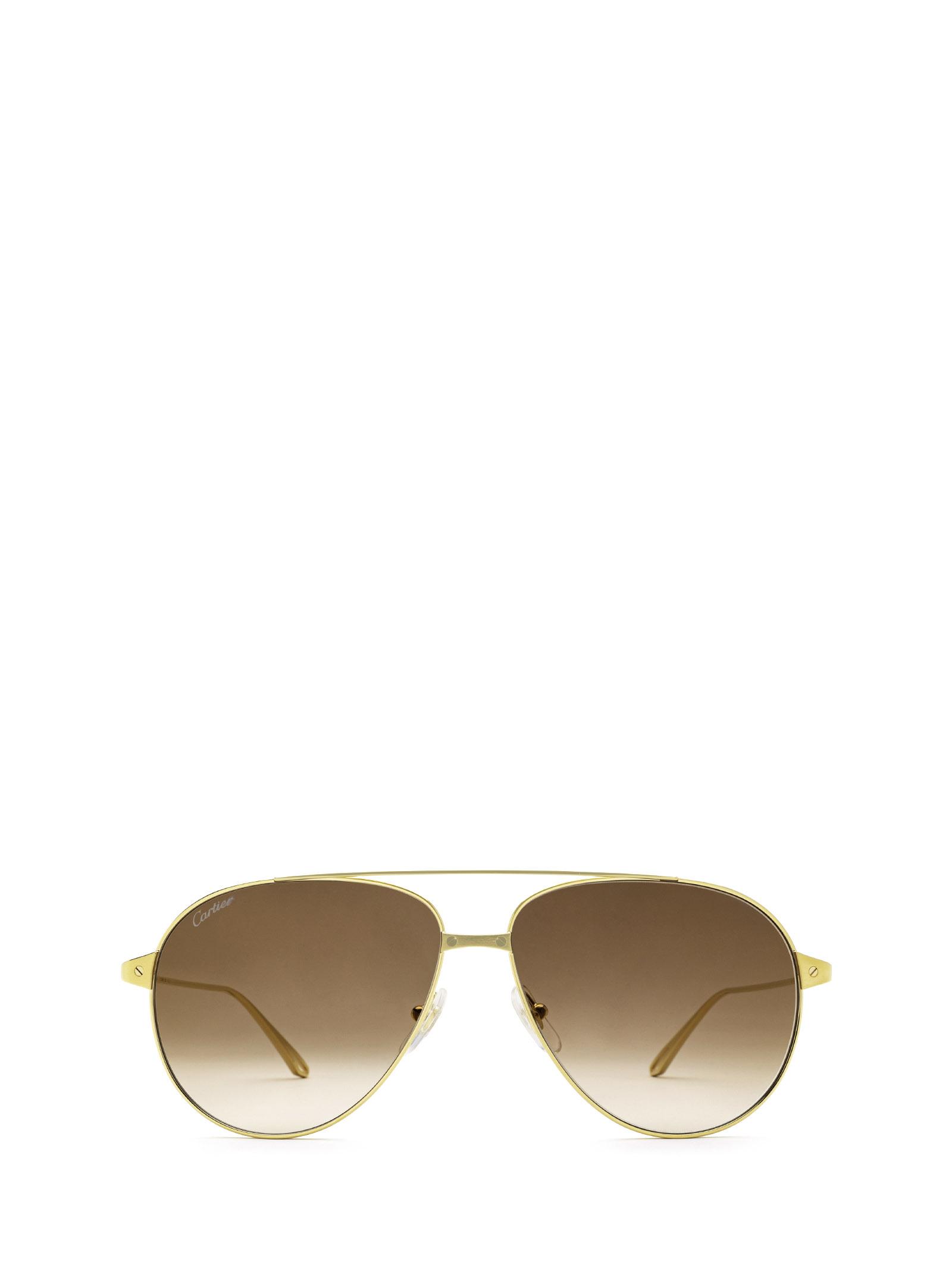 Cartier Blue Sunglasses