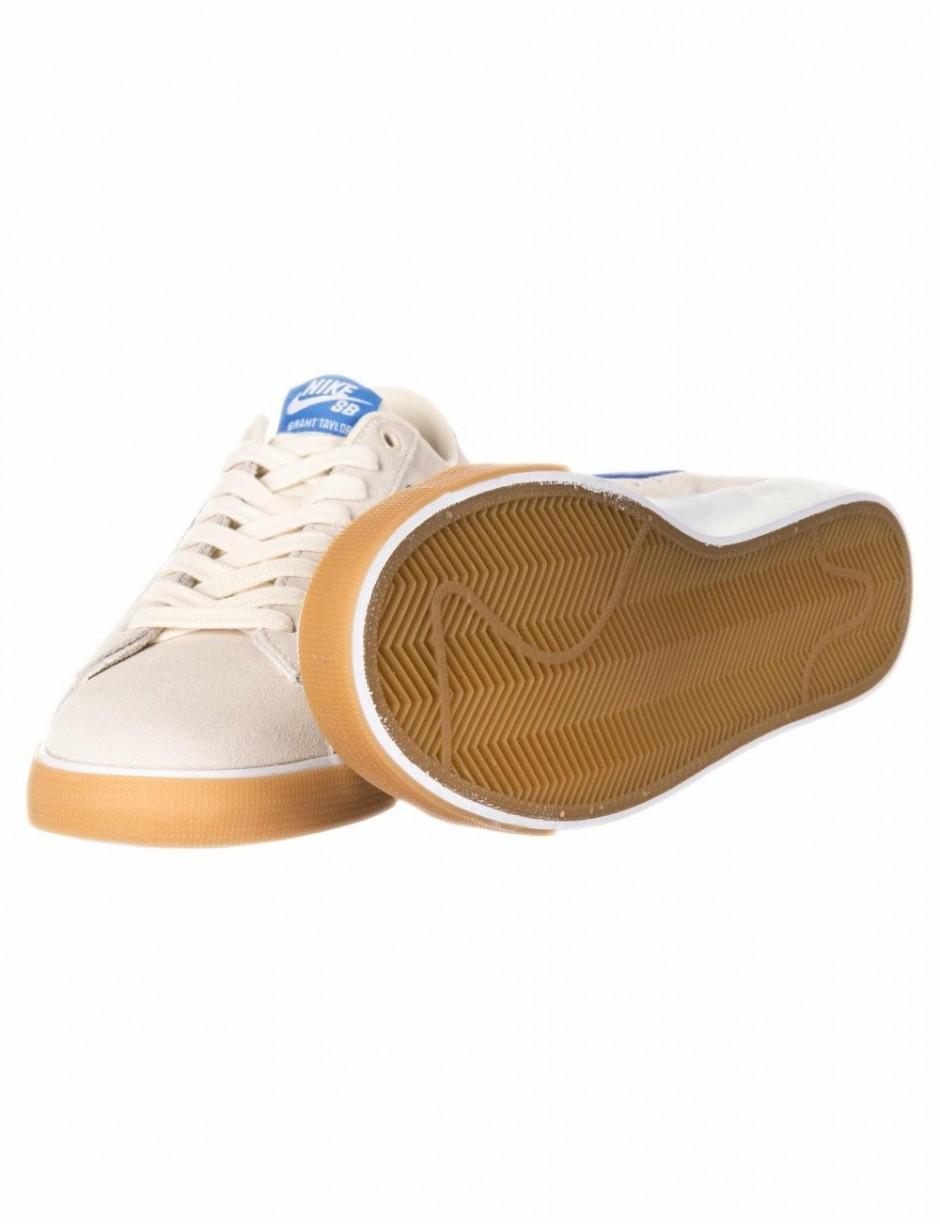 Nike Sb Zoom Blazer Low Gt Trainers 