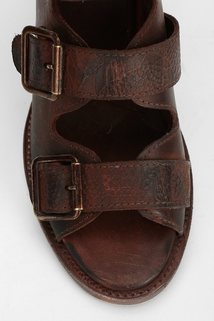 freebird by steven quail