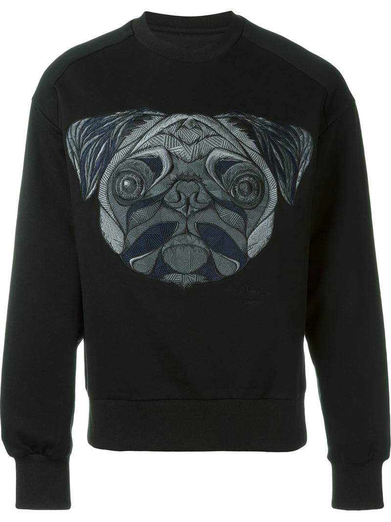 adidas hoodie dog adidas hoodie dog