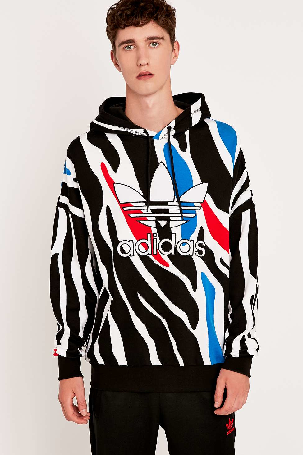 adidas zebra sweatshirt