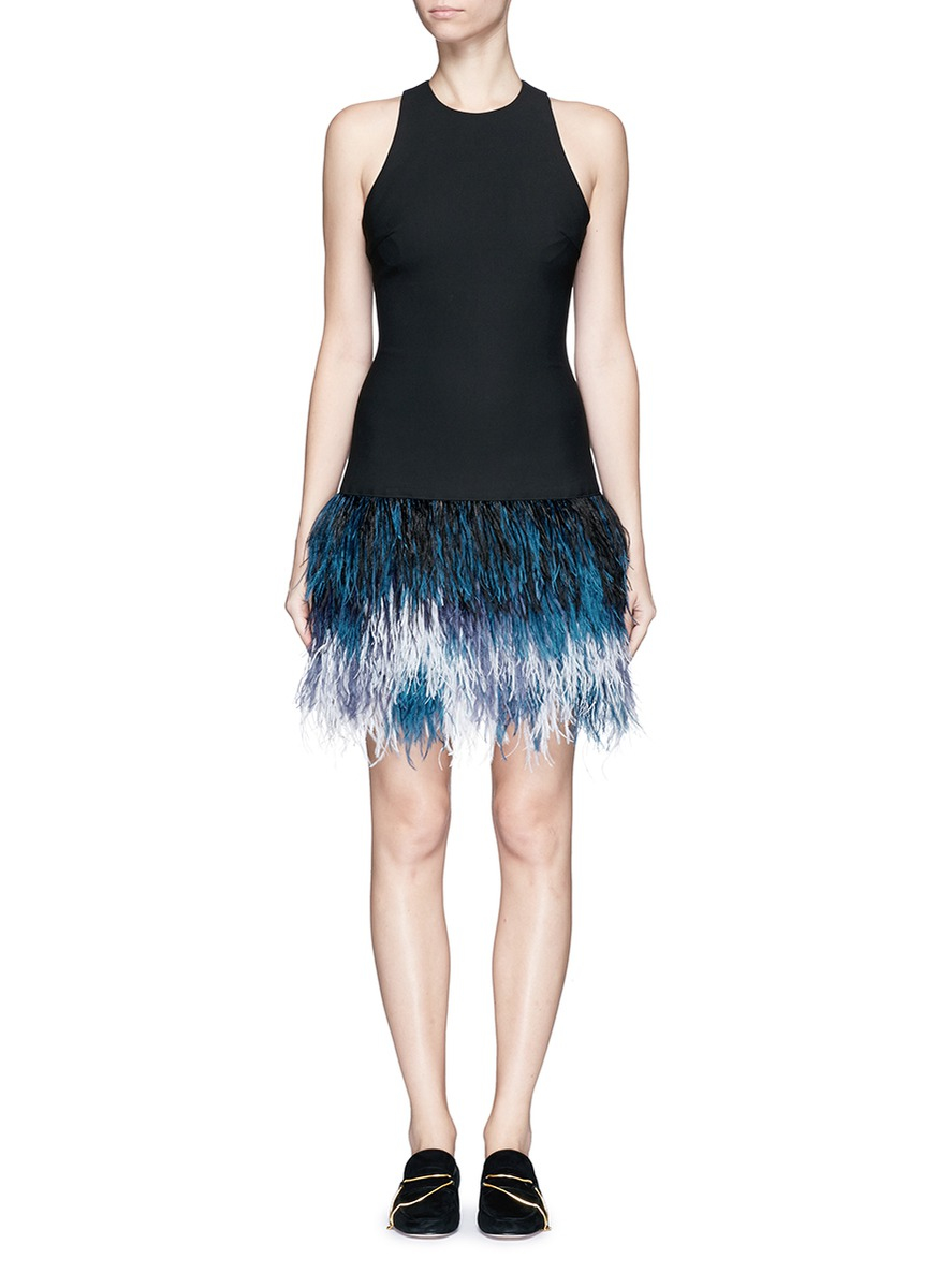 Ombre Feather Dress