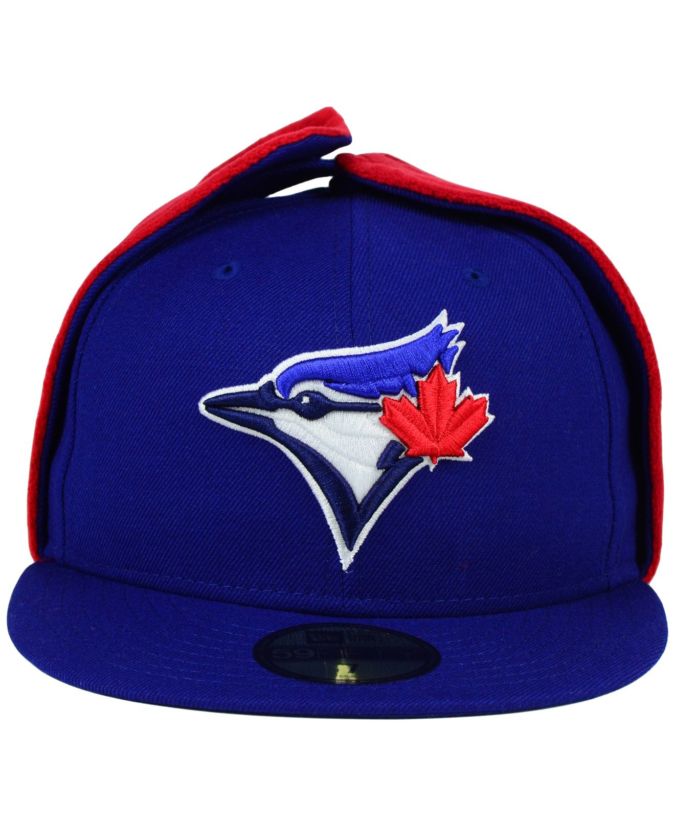 dog ear cap