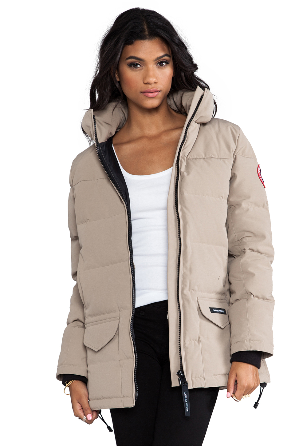 solaris canada goose