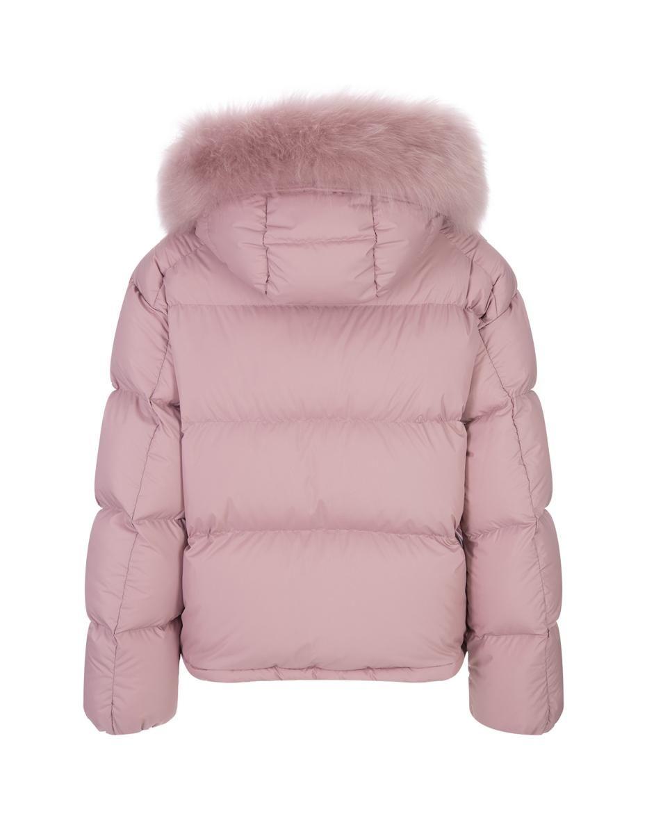 Moncler Mino Short Down Jacket in Pink Lyst
