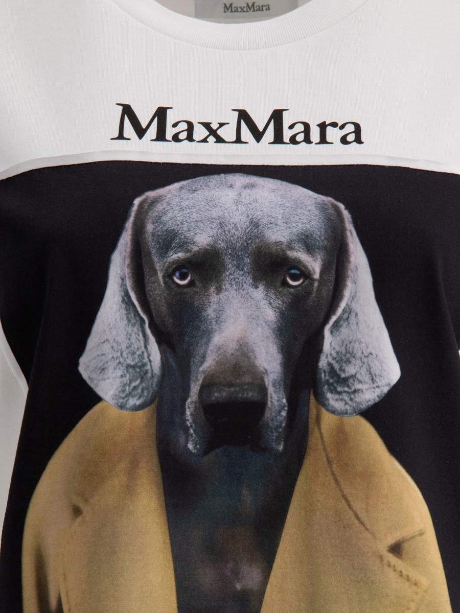 Max Mara Tacco coir Dog