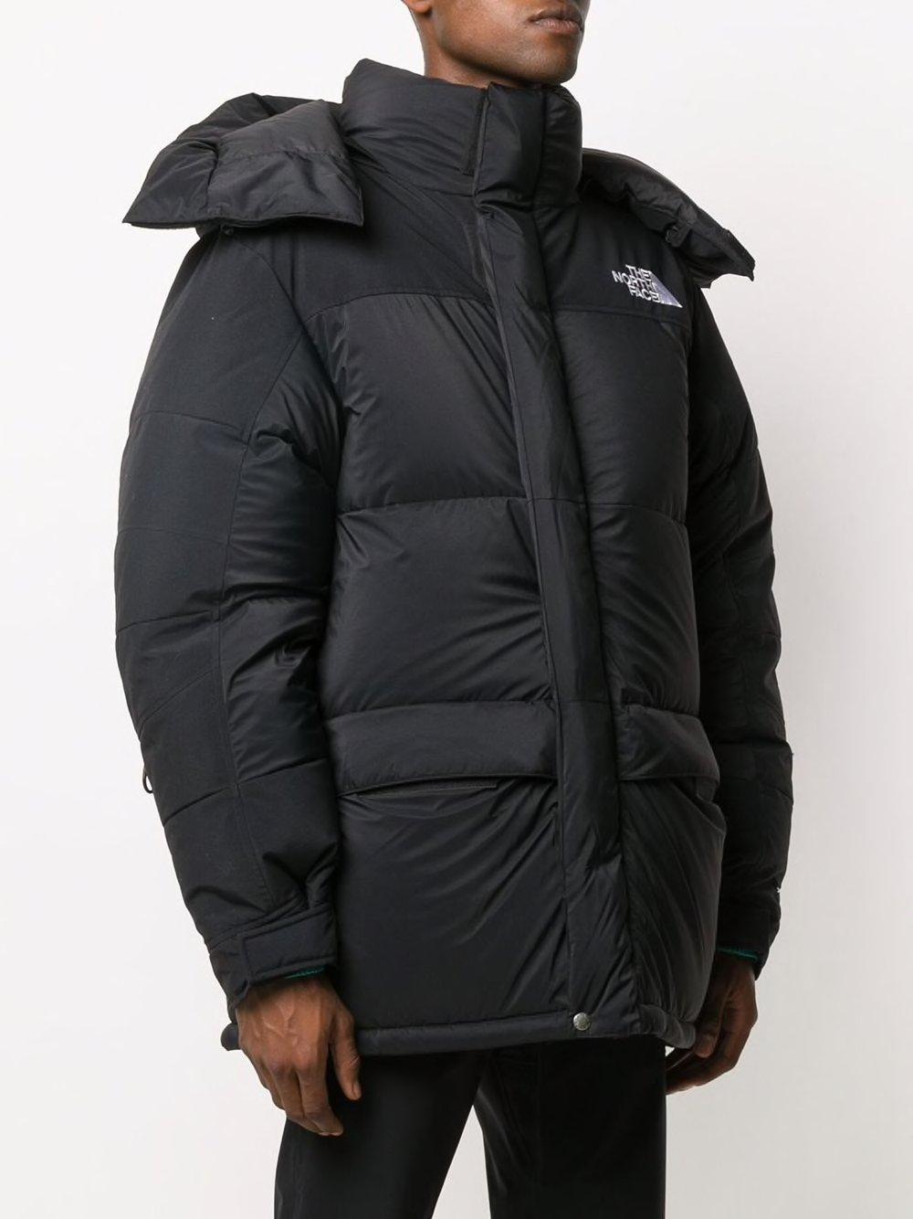 coat the north face
