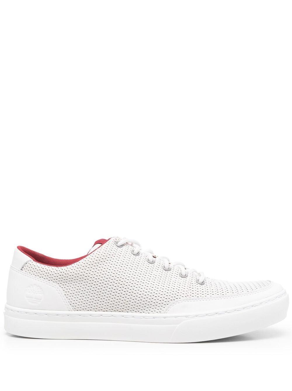 Timberland Sneakers White for Men | Lyst