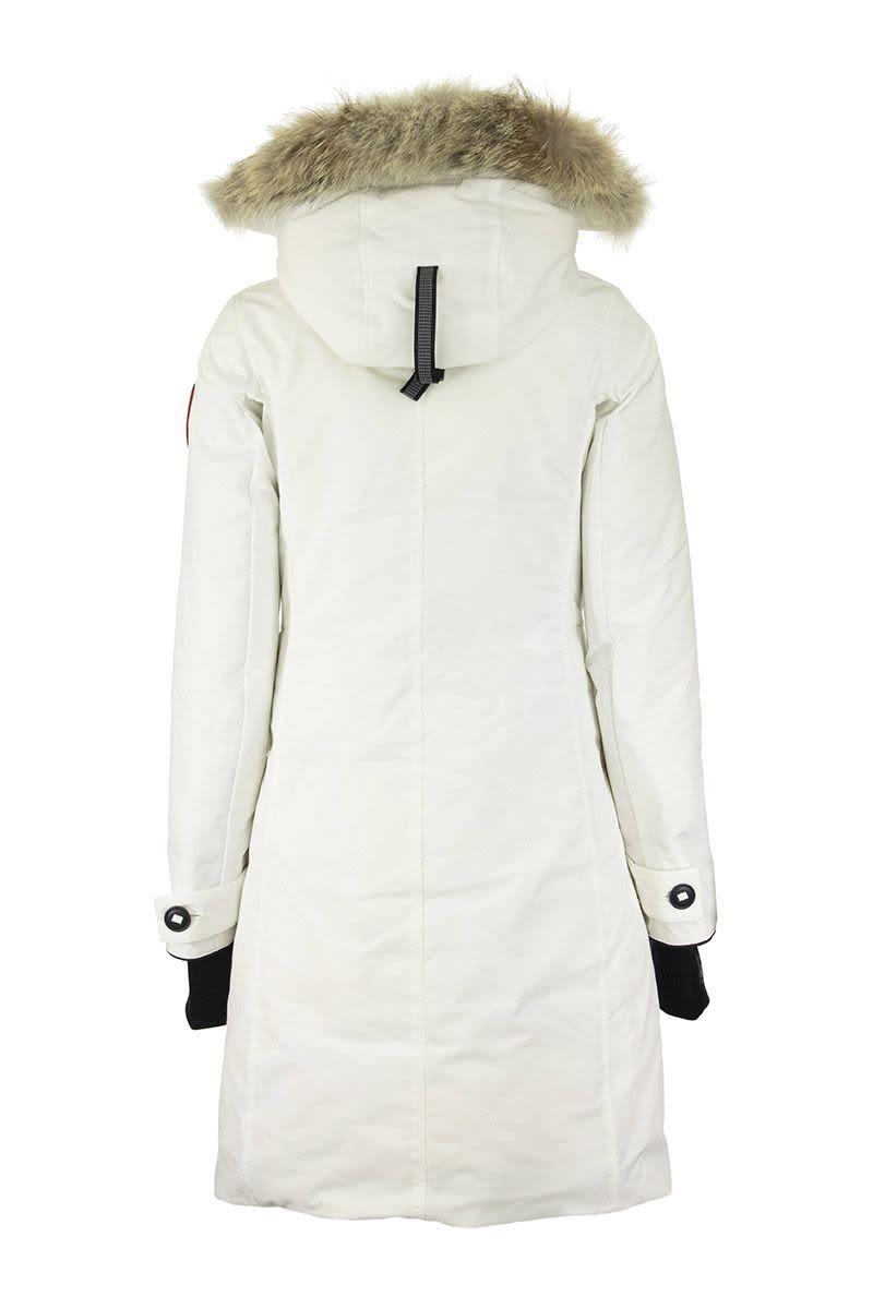 canada goose or osc