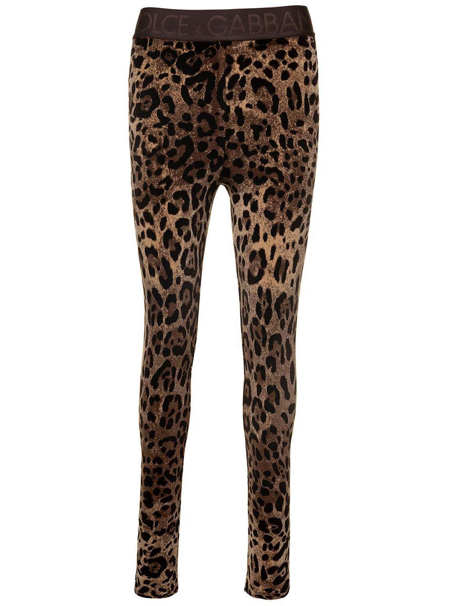 Dolce and gabbana tights hotsell
