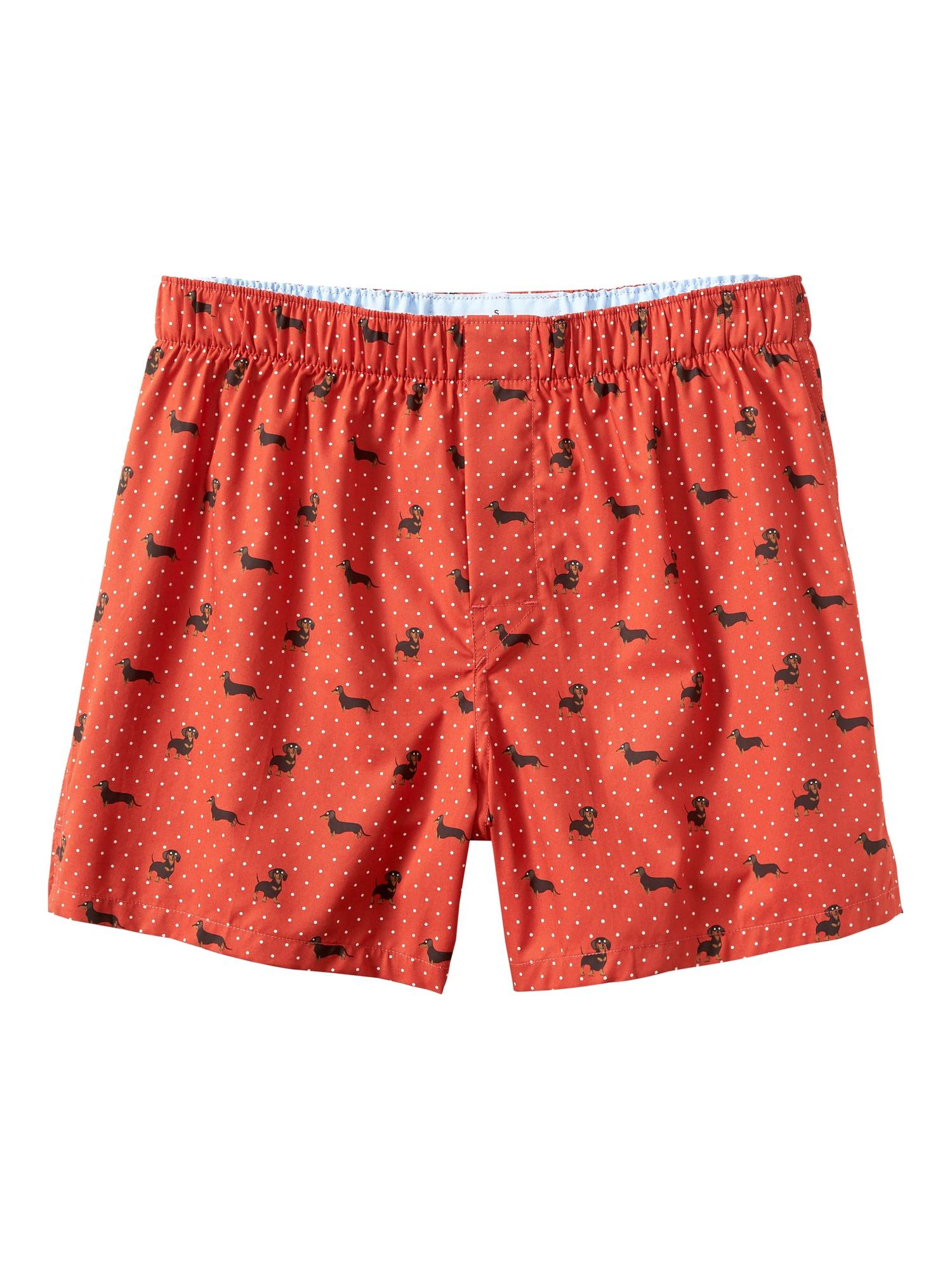 dachshund boxer shorts