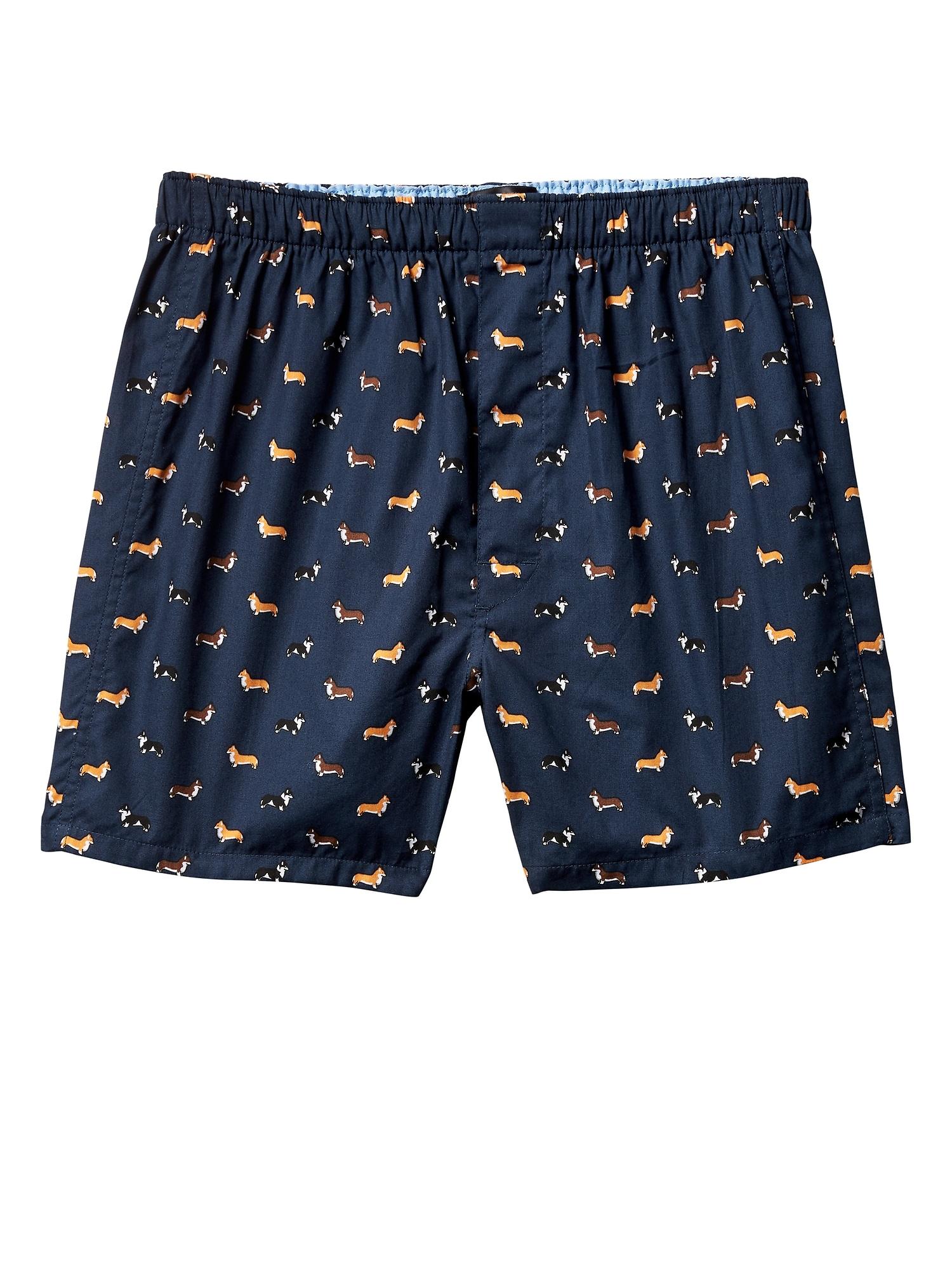 corgi boxer shorts