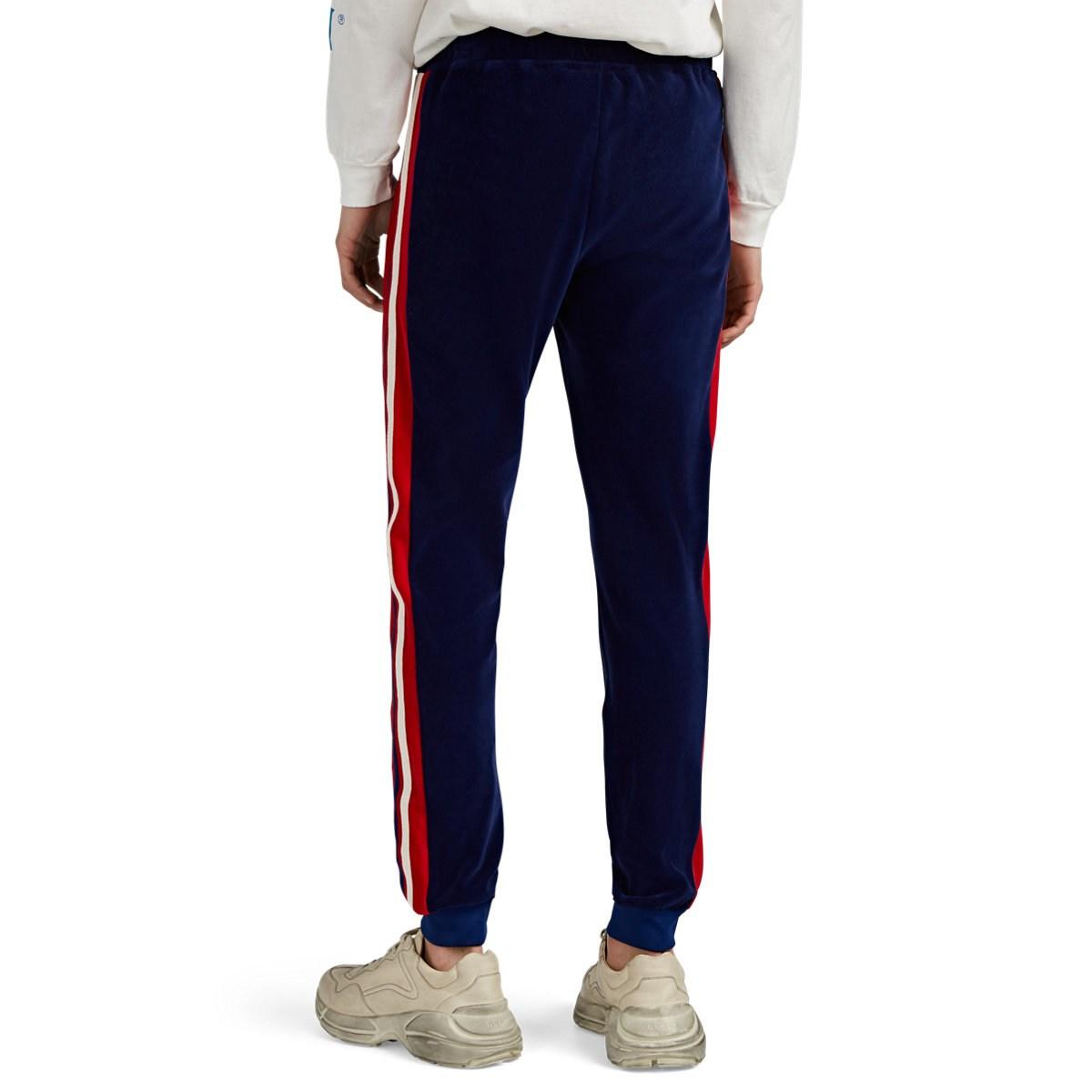 Gucci Cotton Stripe-appliquéd Velour Jogger Pants in Blue for Men - Lyst