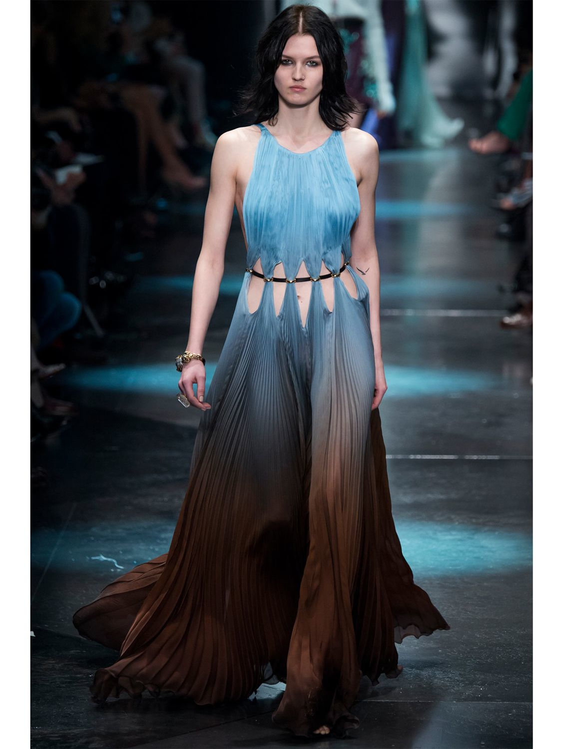 roberto cavalli gown