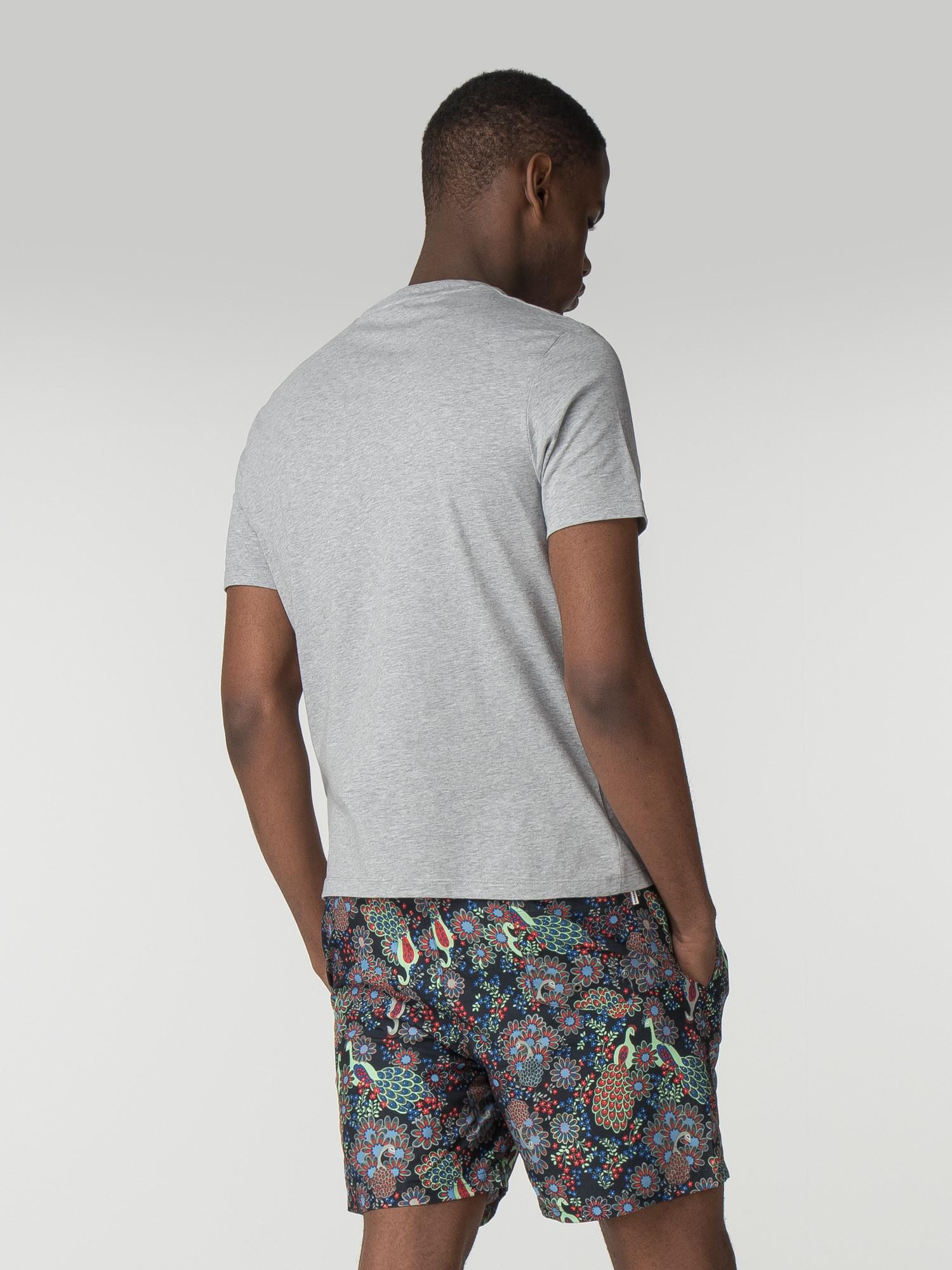 ben sherman swimming shorts