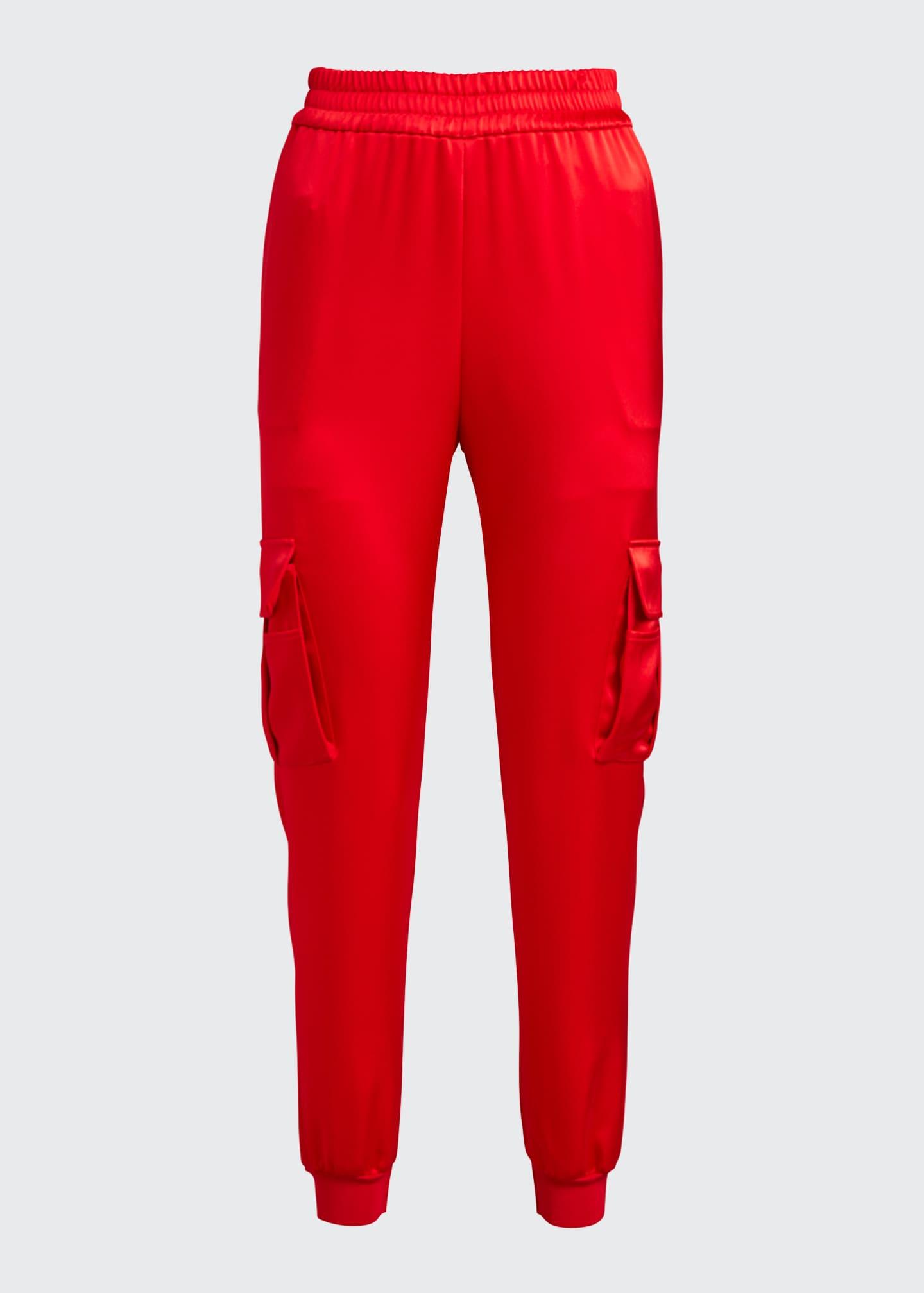 alice and olivia red pants