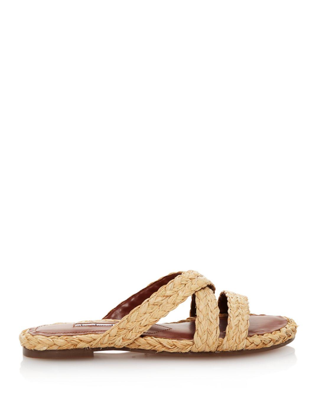 charles david slides
