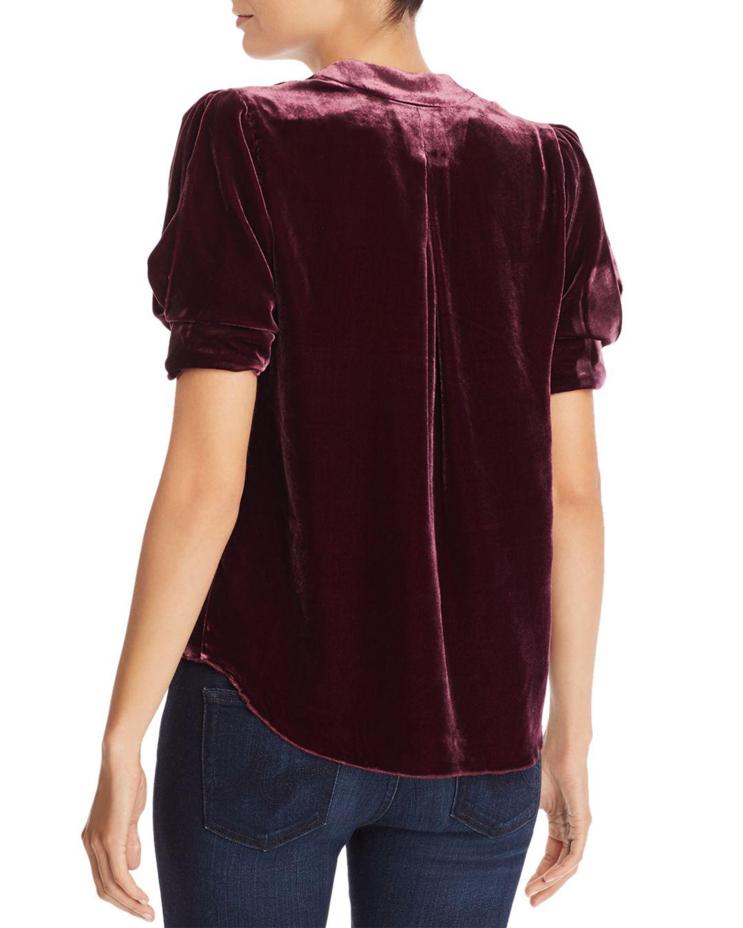 joie ance velvet top