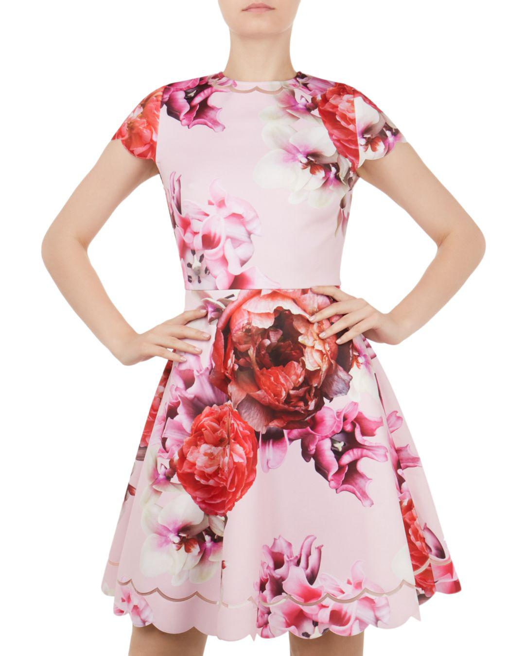 seeana splendour skater dress
