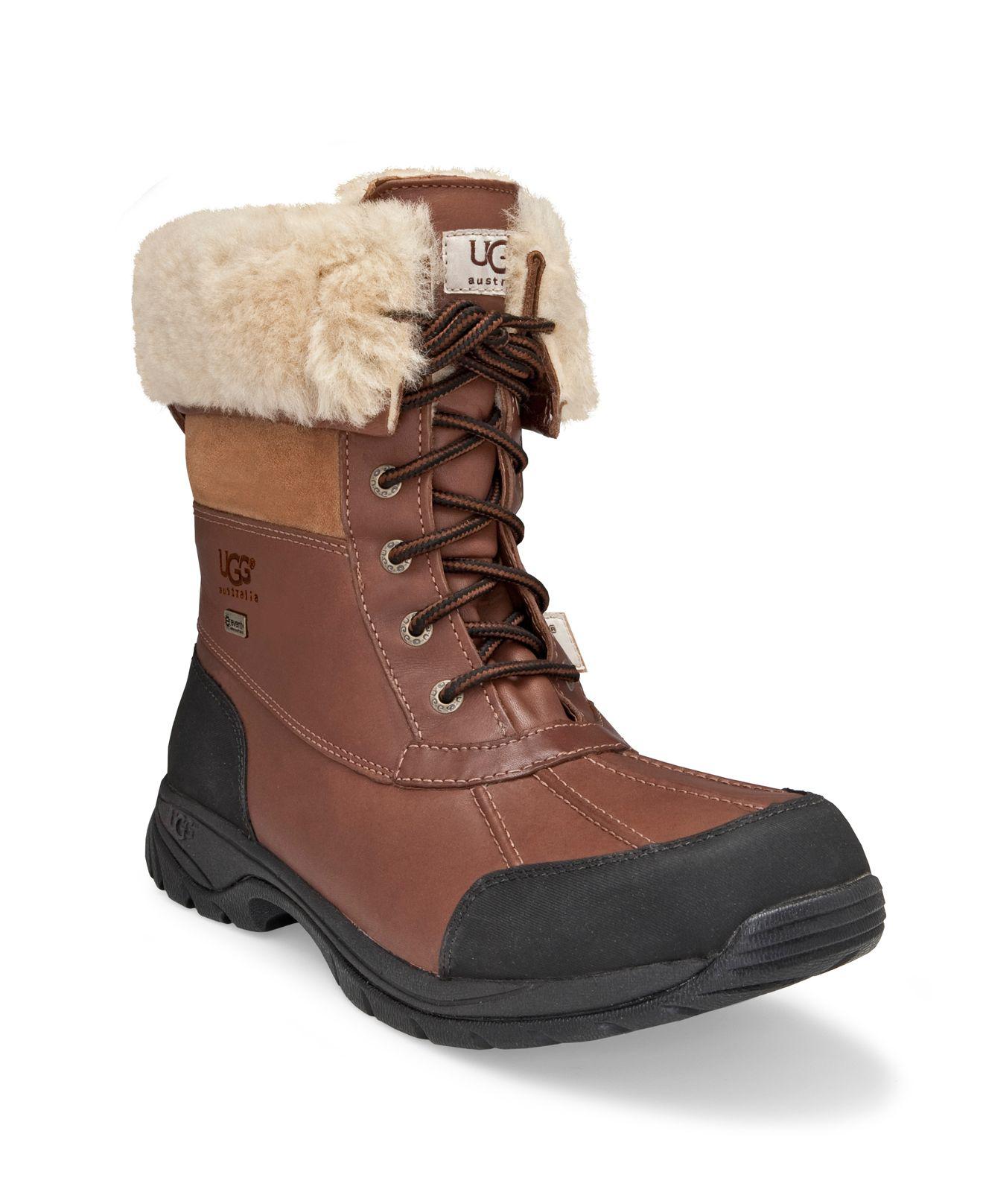 brown male uggs