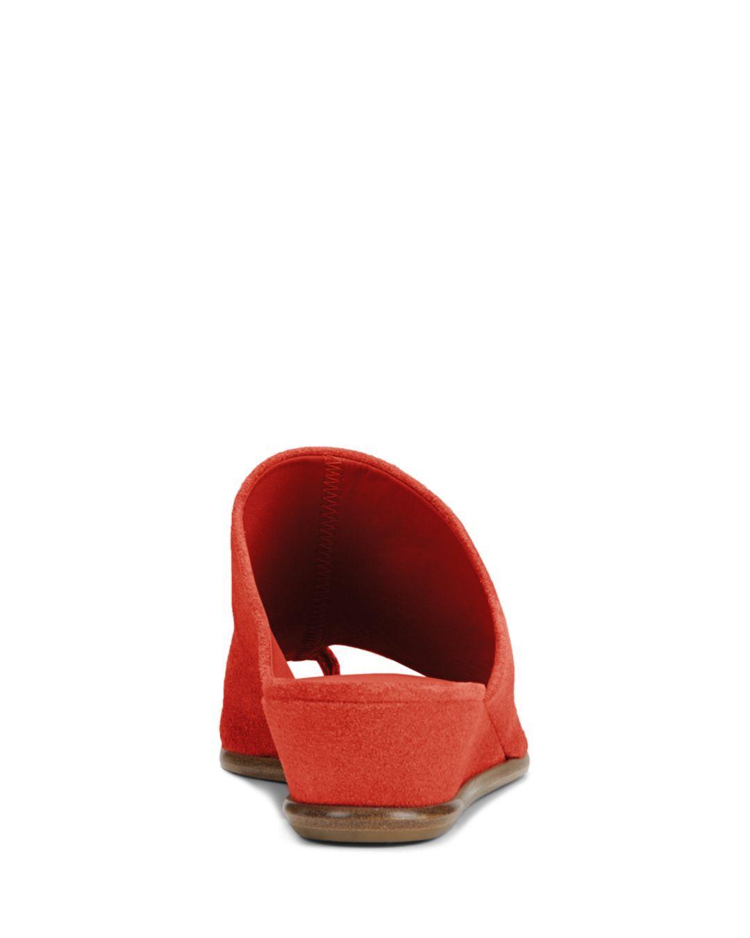 vince darla slide