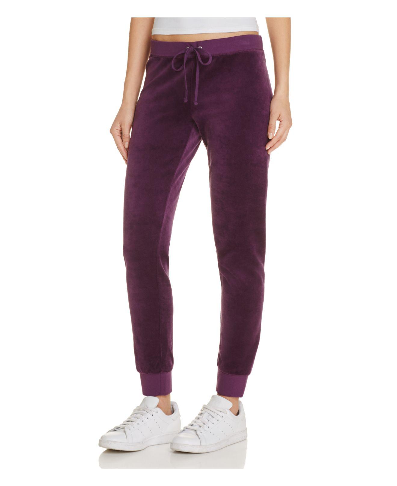 Lyst - Juicy couture Zuma Velour Jogger Pants in Purple