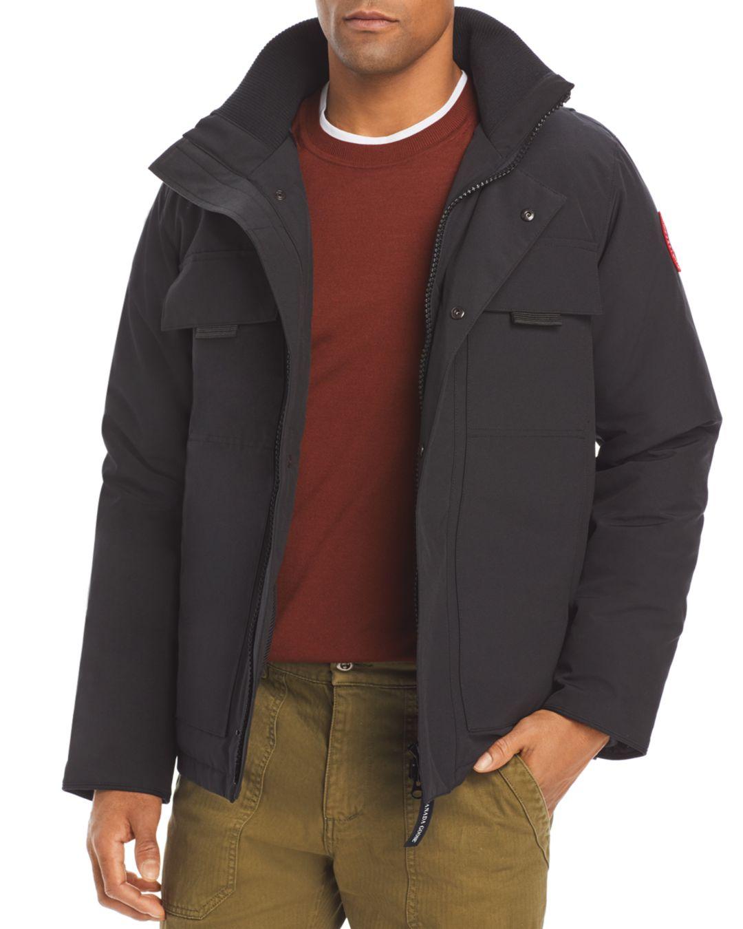 canada goose forester