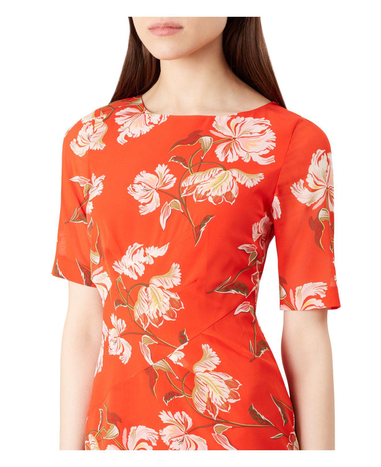 hobbs stellie dress