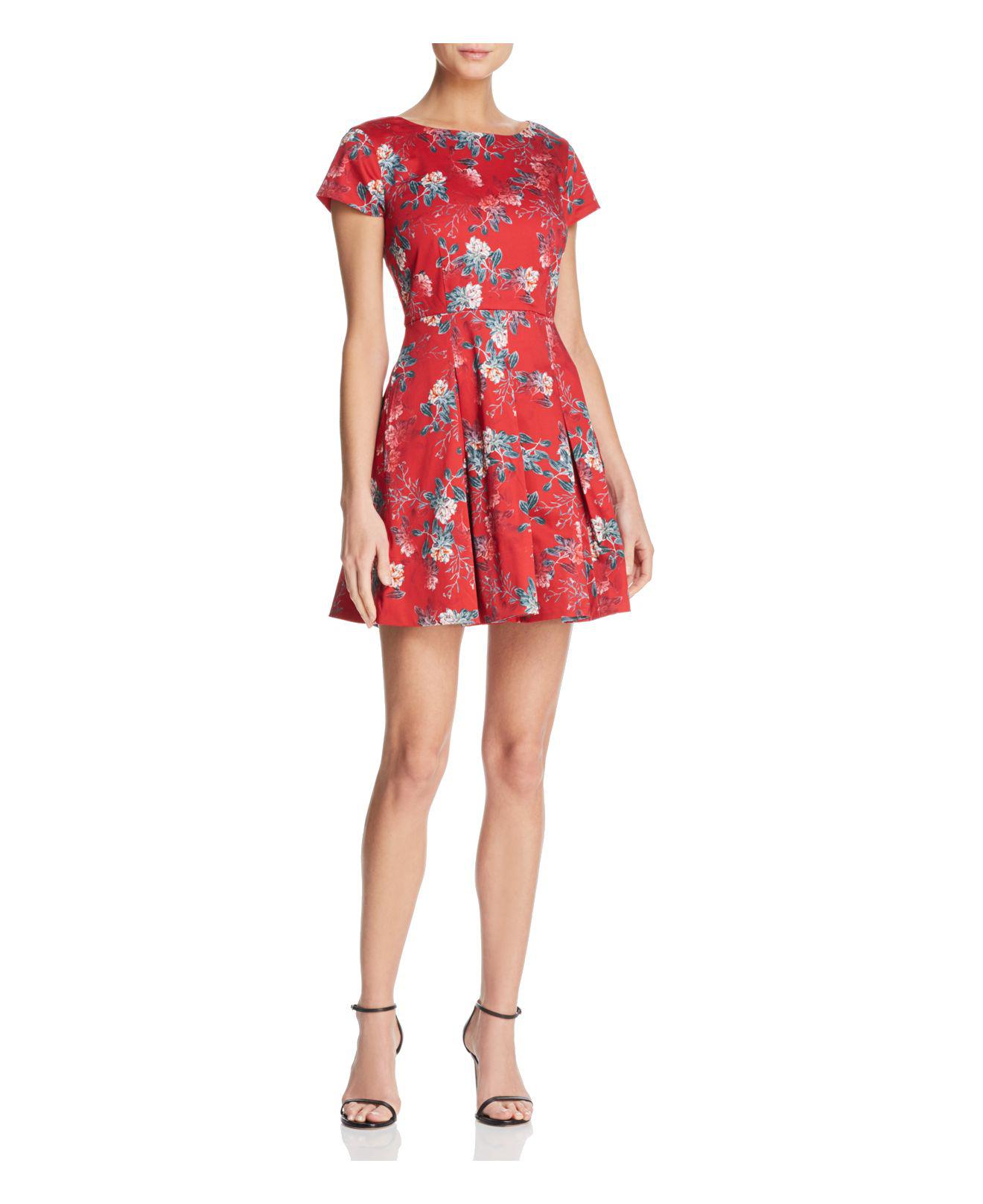 french connection red floral dress