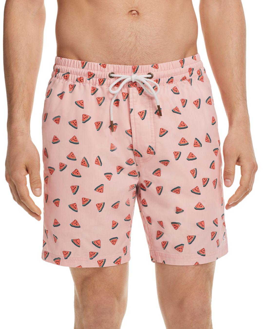 barney cools swim trunks