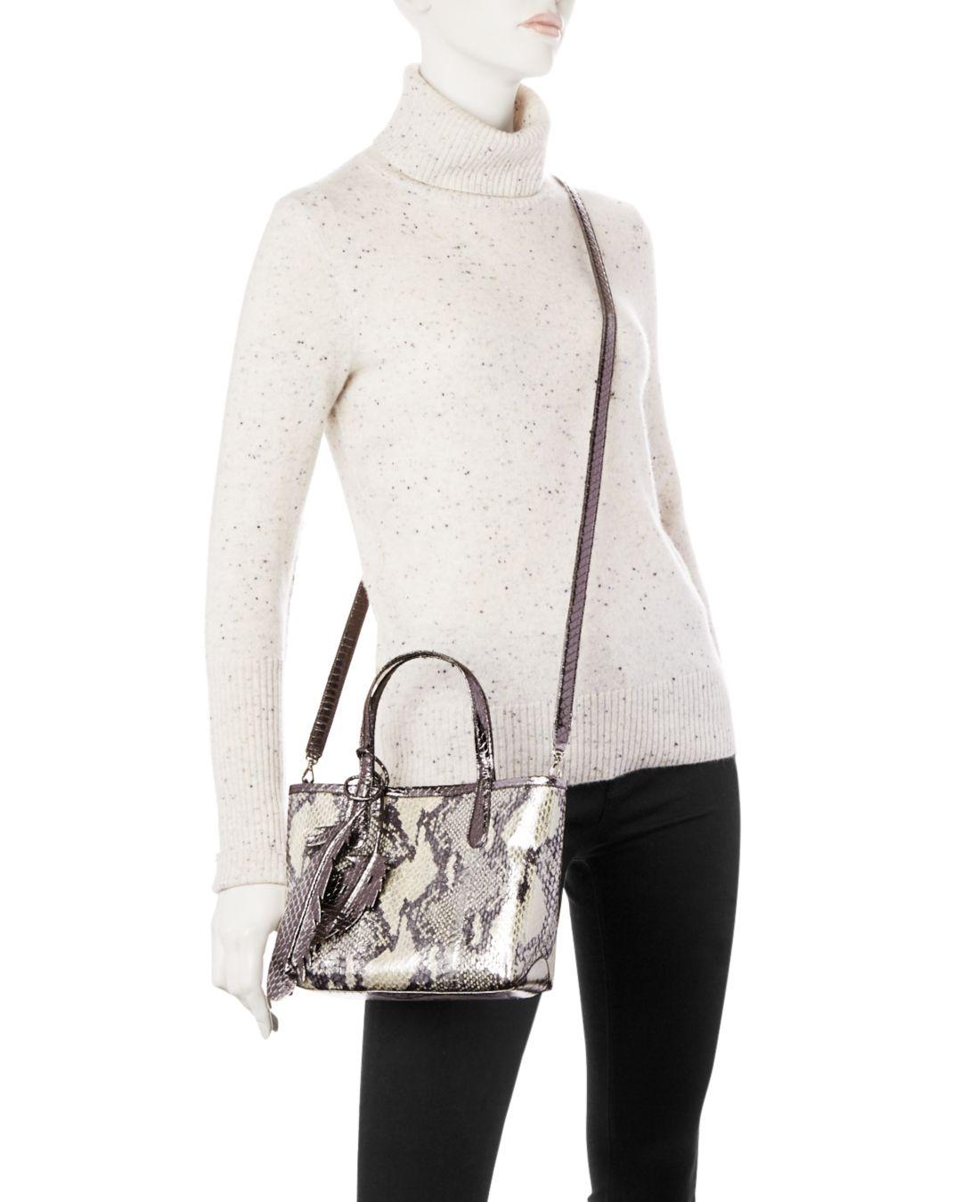 nancy gonzalez python tote