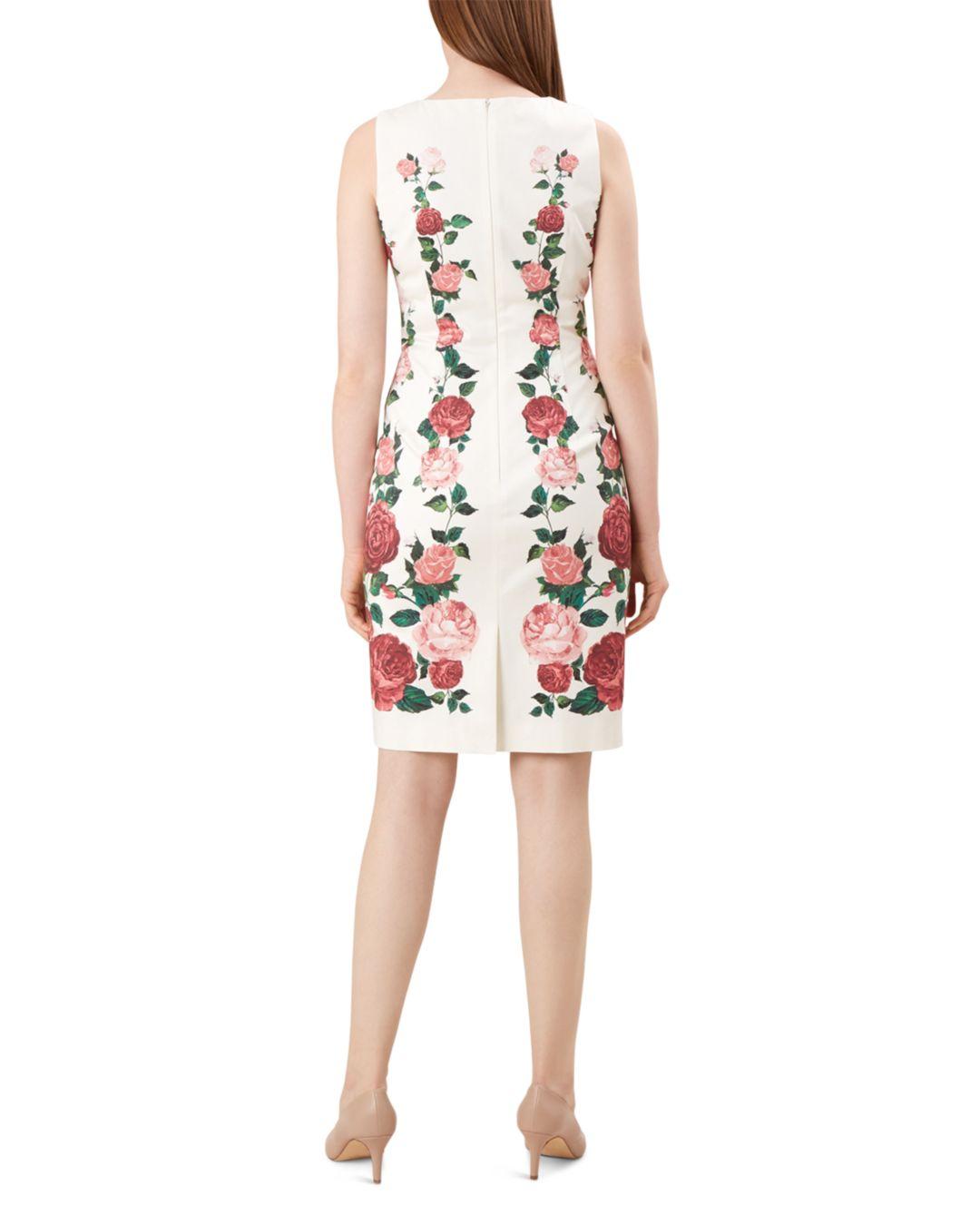 hobbs victoria rose dress