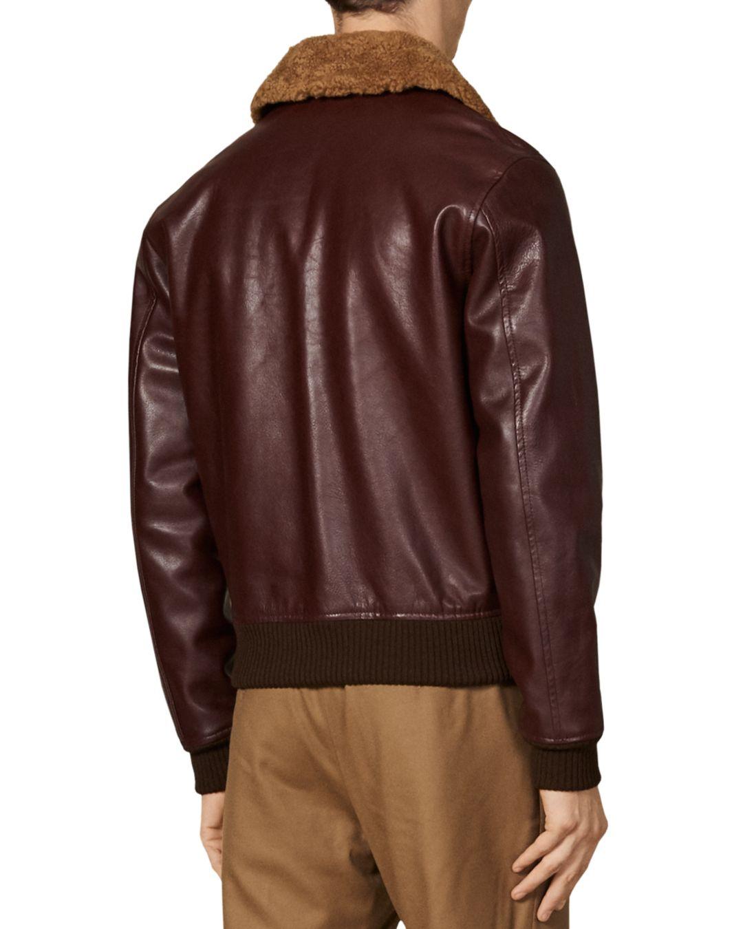 Collar Leather Aviator Jacket in Brown 