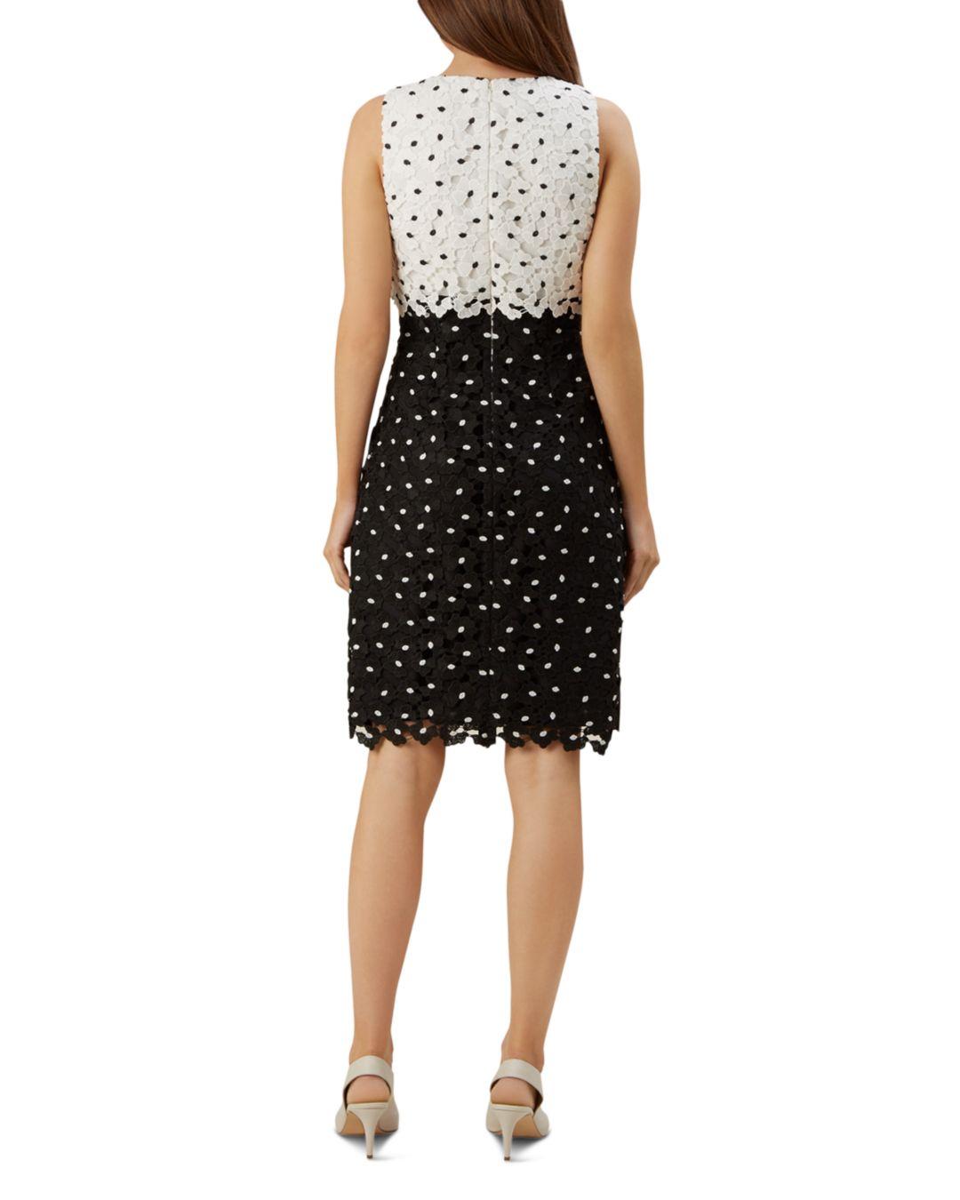 hobbs penny floral lace dress