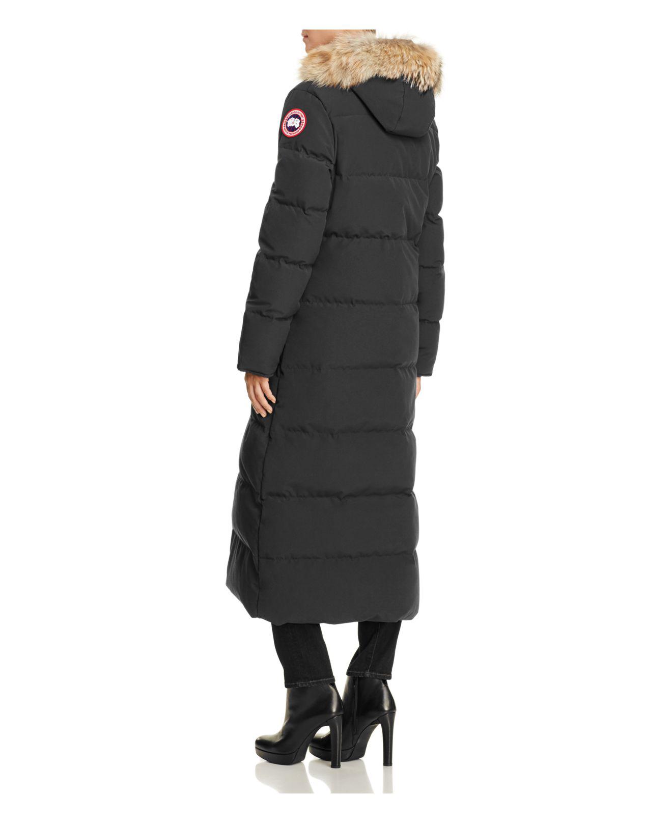 canada goose graphite mystique canada goose graphite mystique