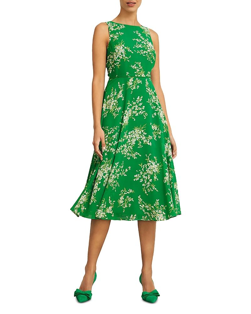 hobbs carly dress green Petite Carly Floral Dress